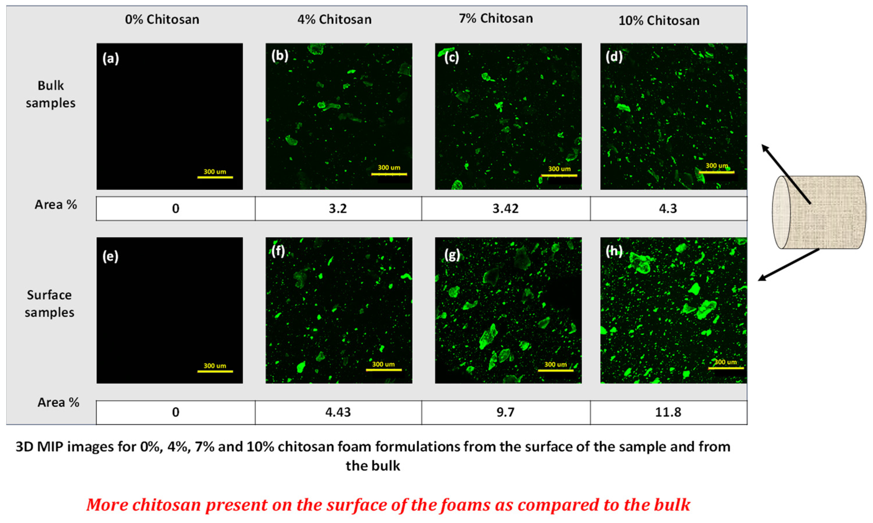 Polymers 16 03402 g014