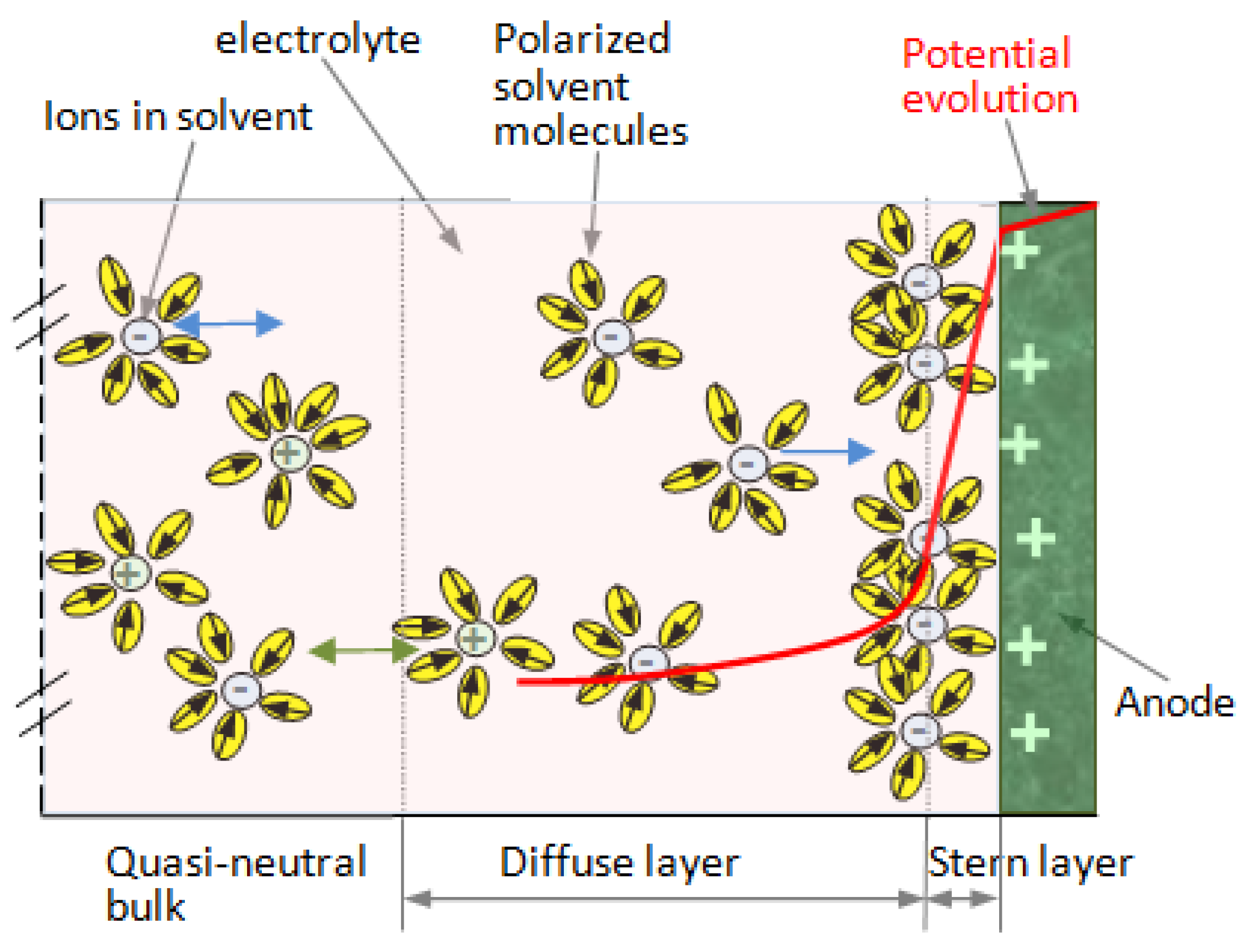 Polymers 16 03404 g004