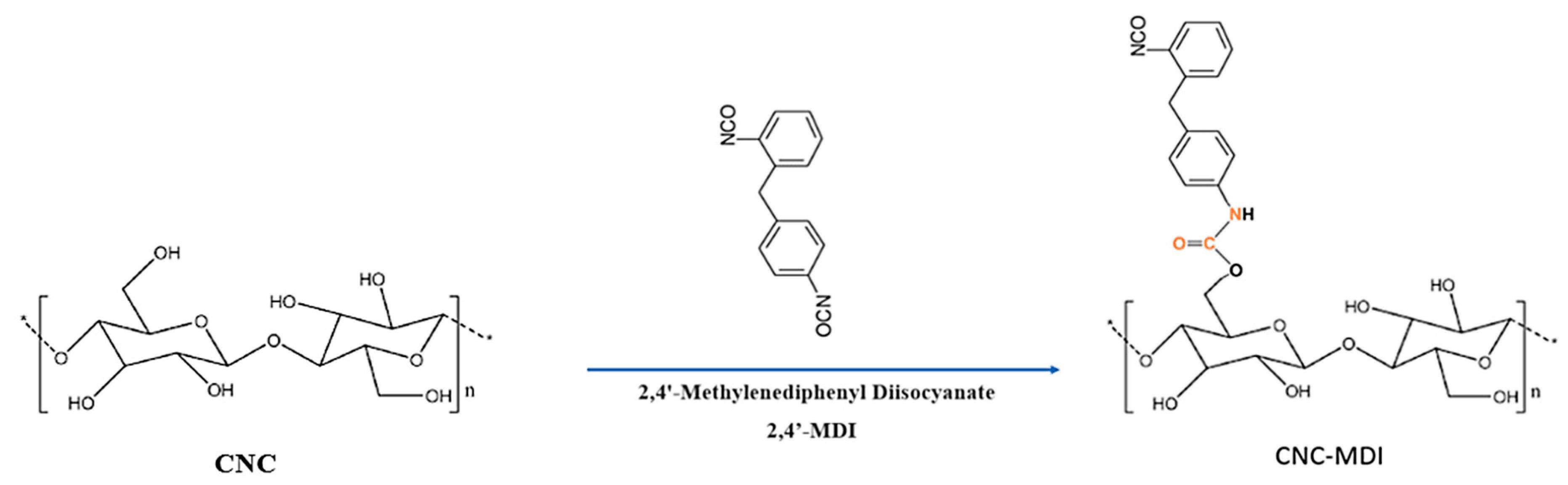 Polymers 16 03406 g001