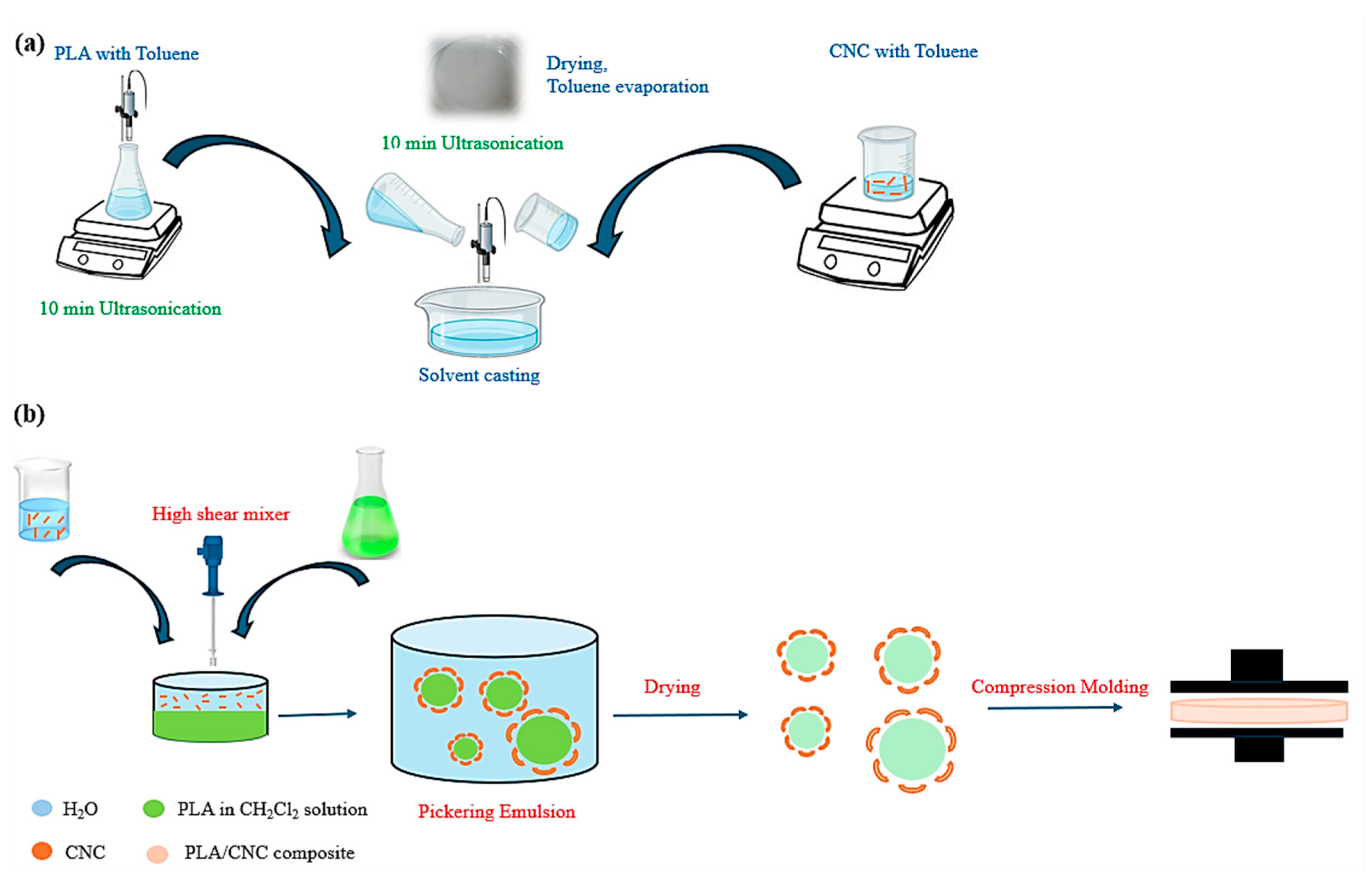 Polymers 16 03406 g004