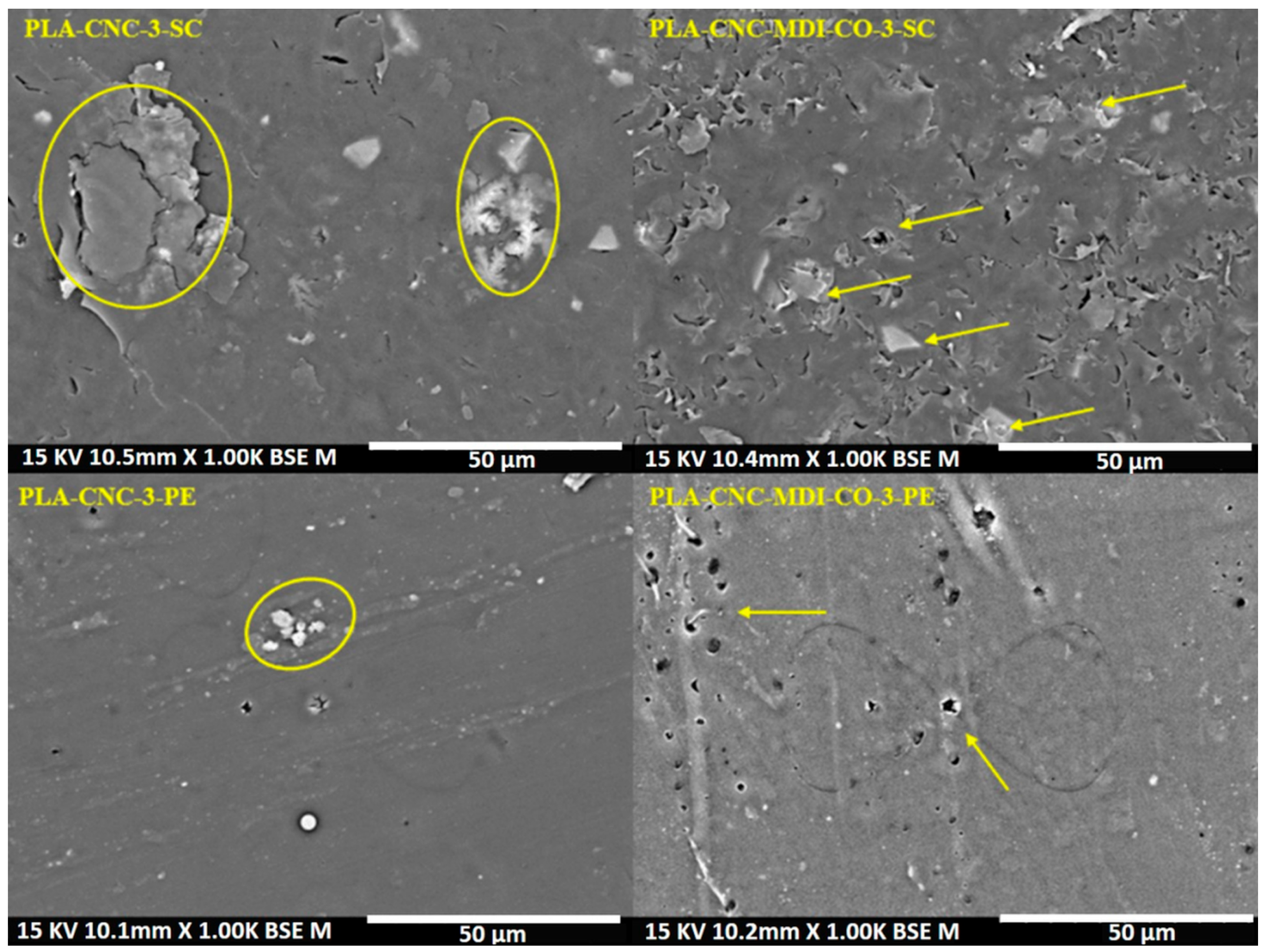 Polymers 16 03406 g016