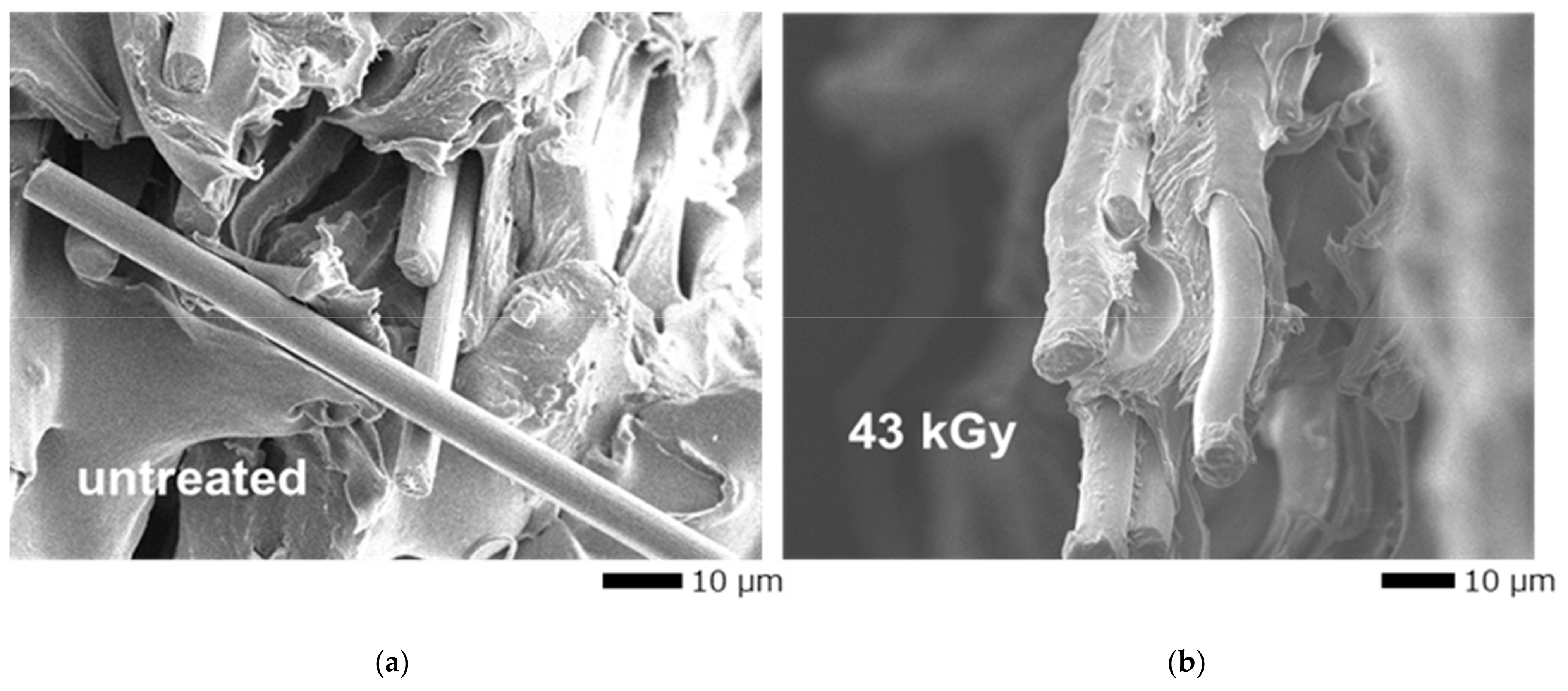 Polymers 16 03408 g008