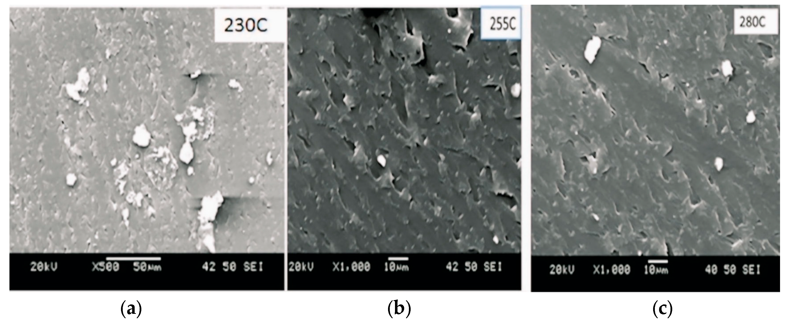 Polymers 16 03409 g010