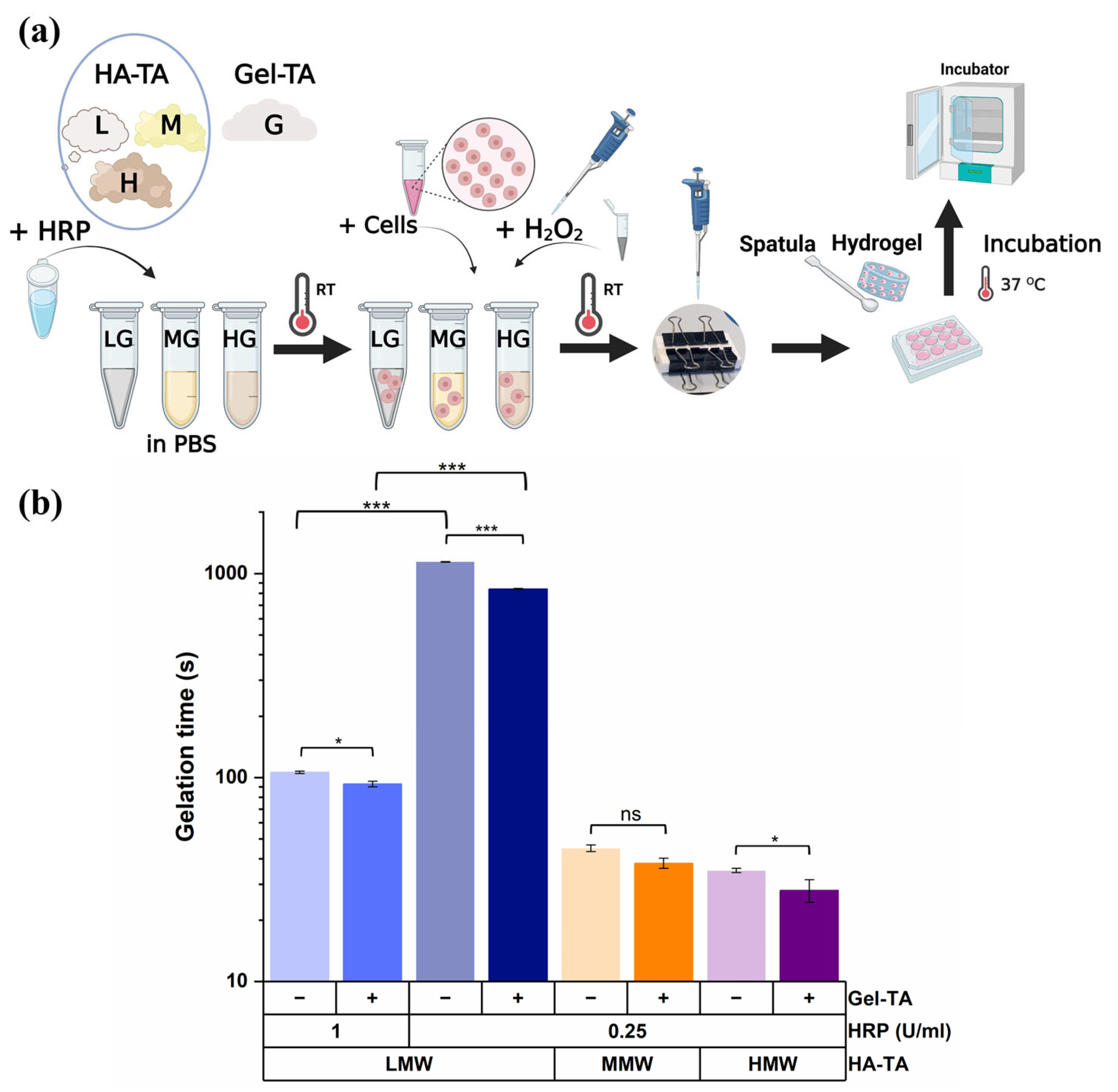 Polymers 16 03410 g001