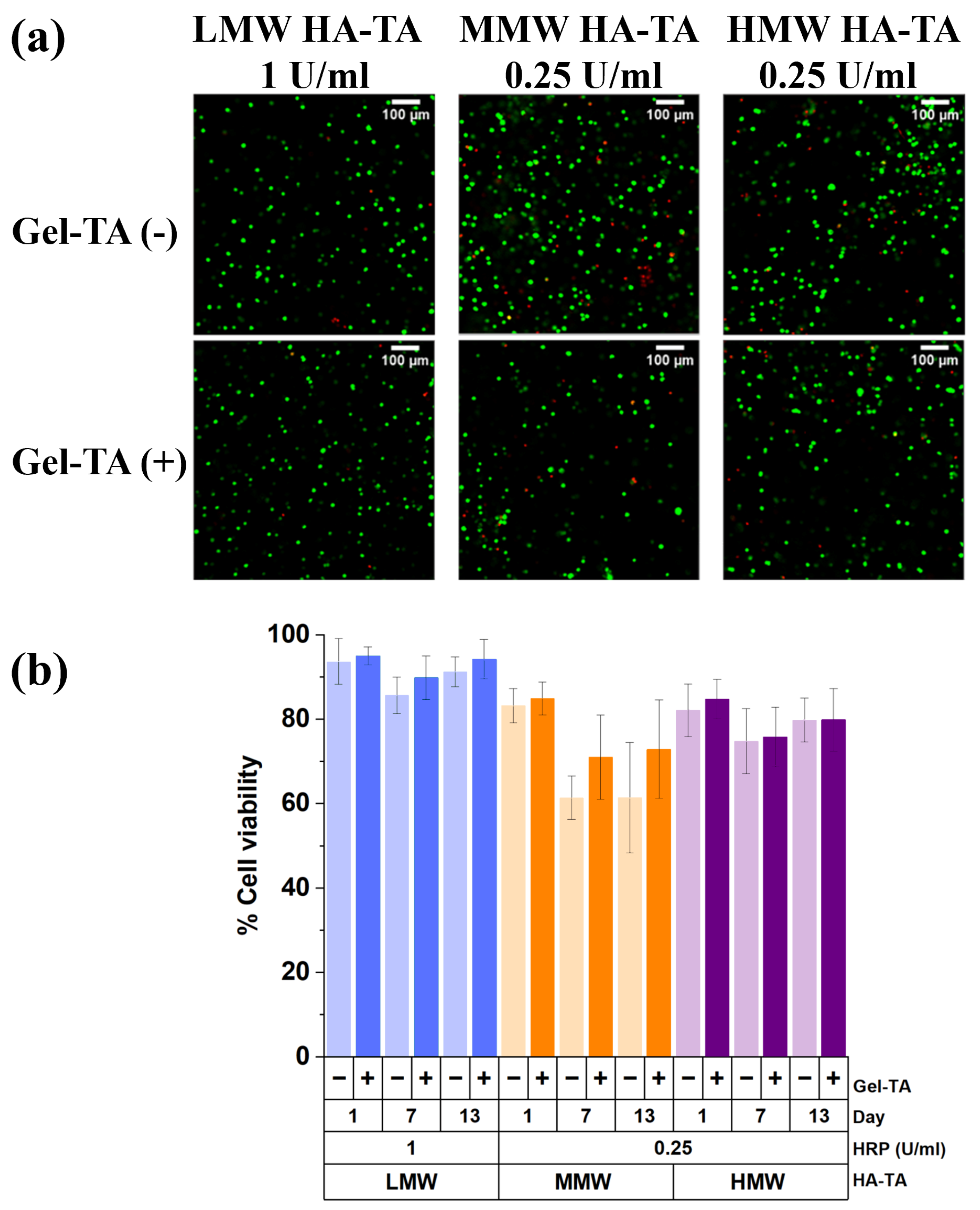 Polymers 16 03410 g004