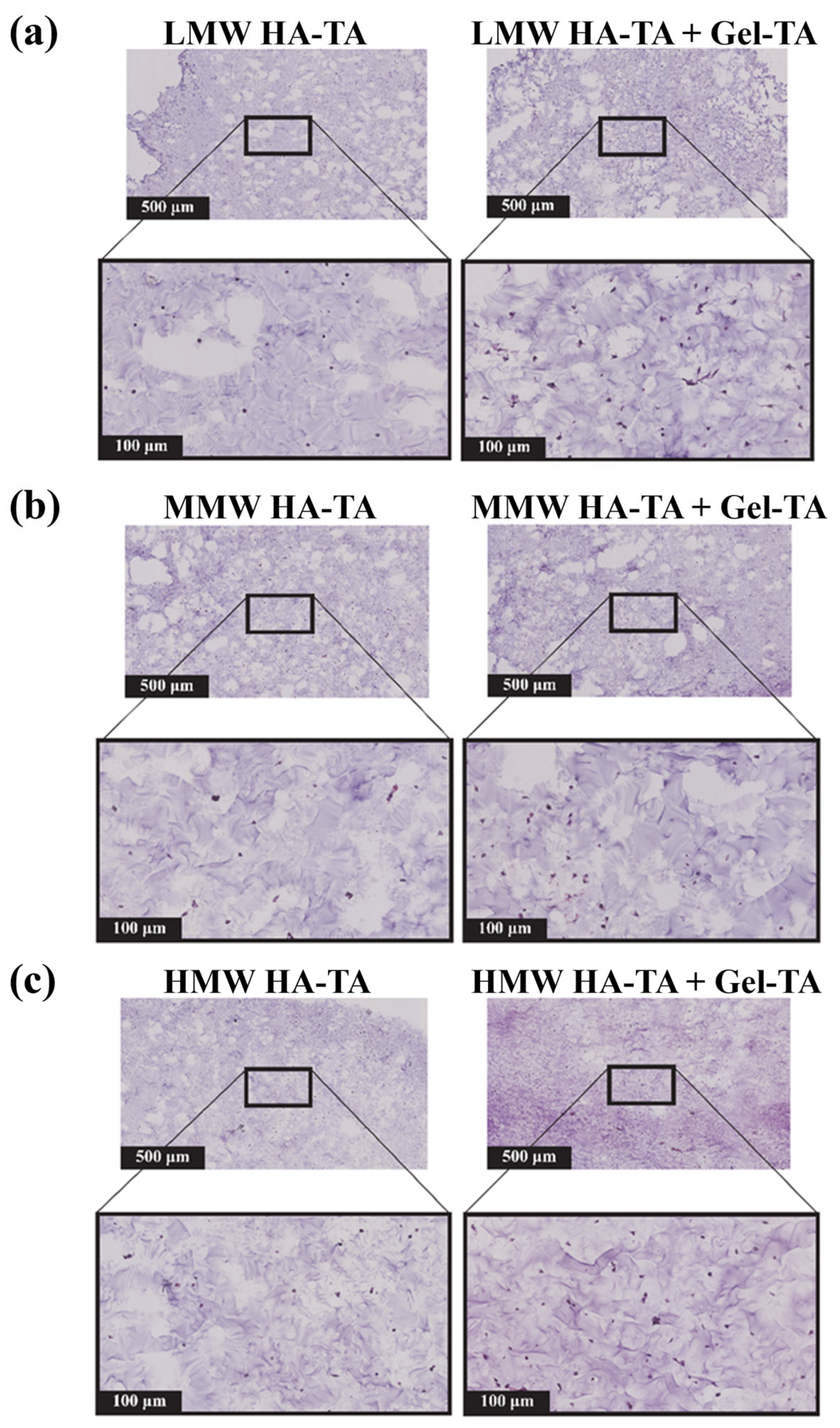 Polymers 16 03410 g005