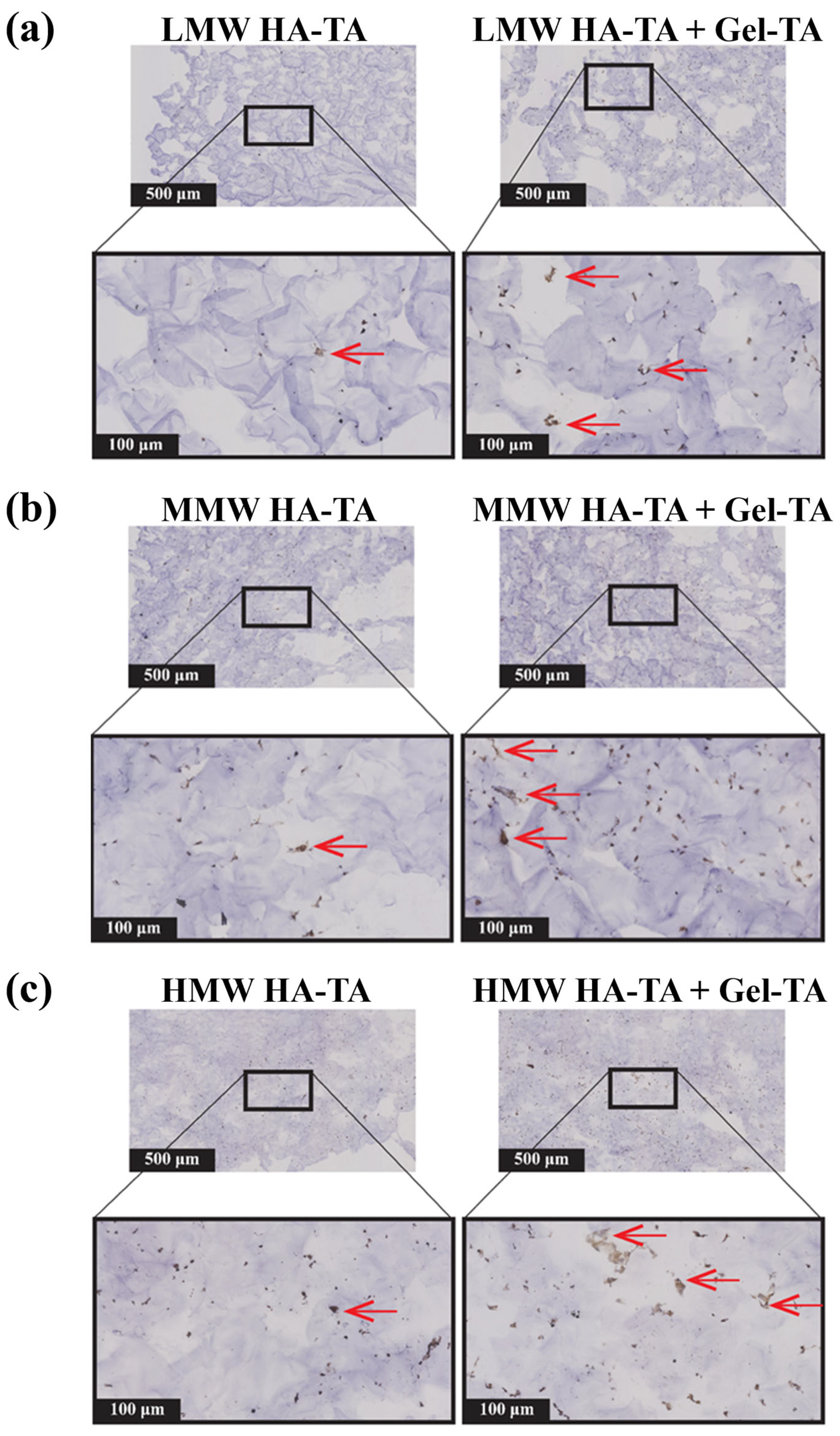 Polymers 16 03410 g006