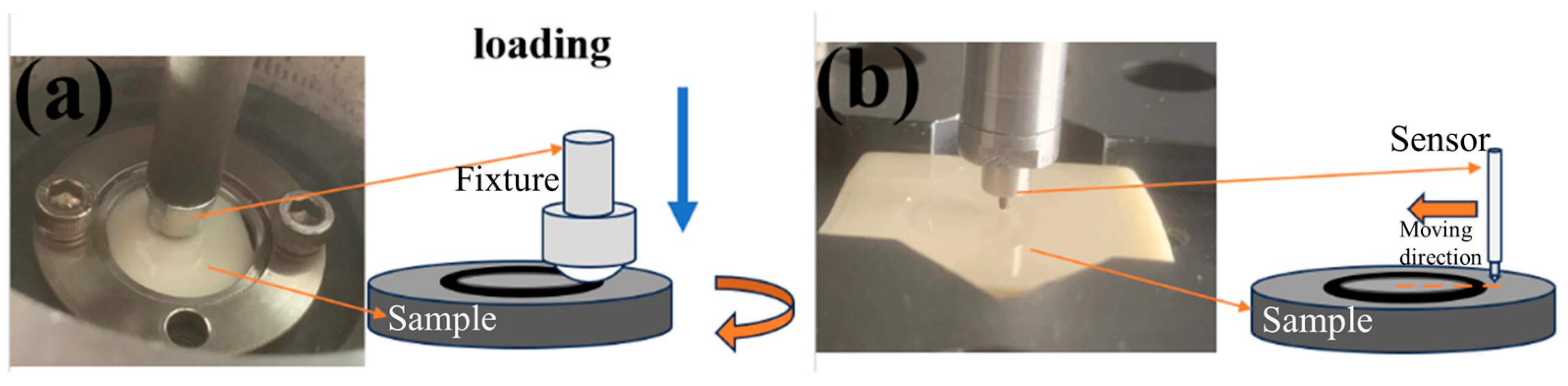 Polymers 16 03412 g001