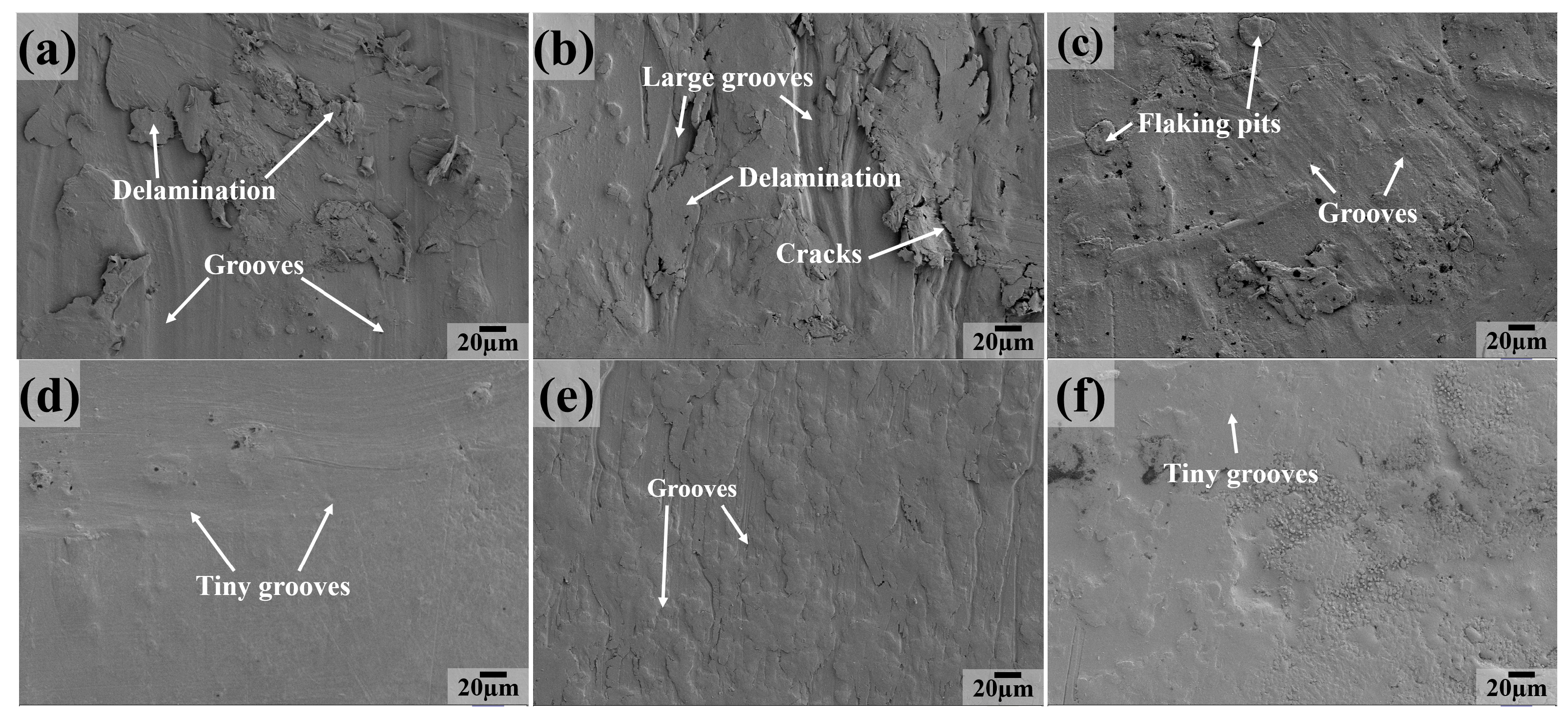 Polymers 16 03412 g010