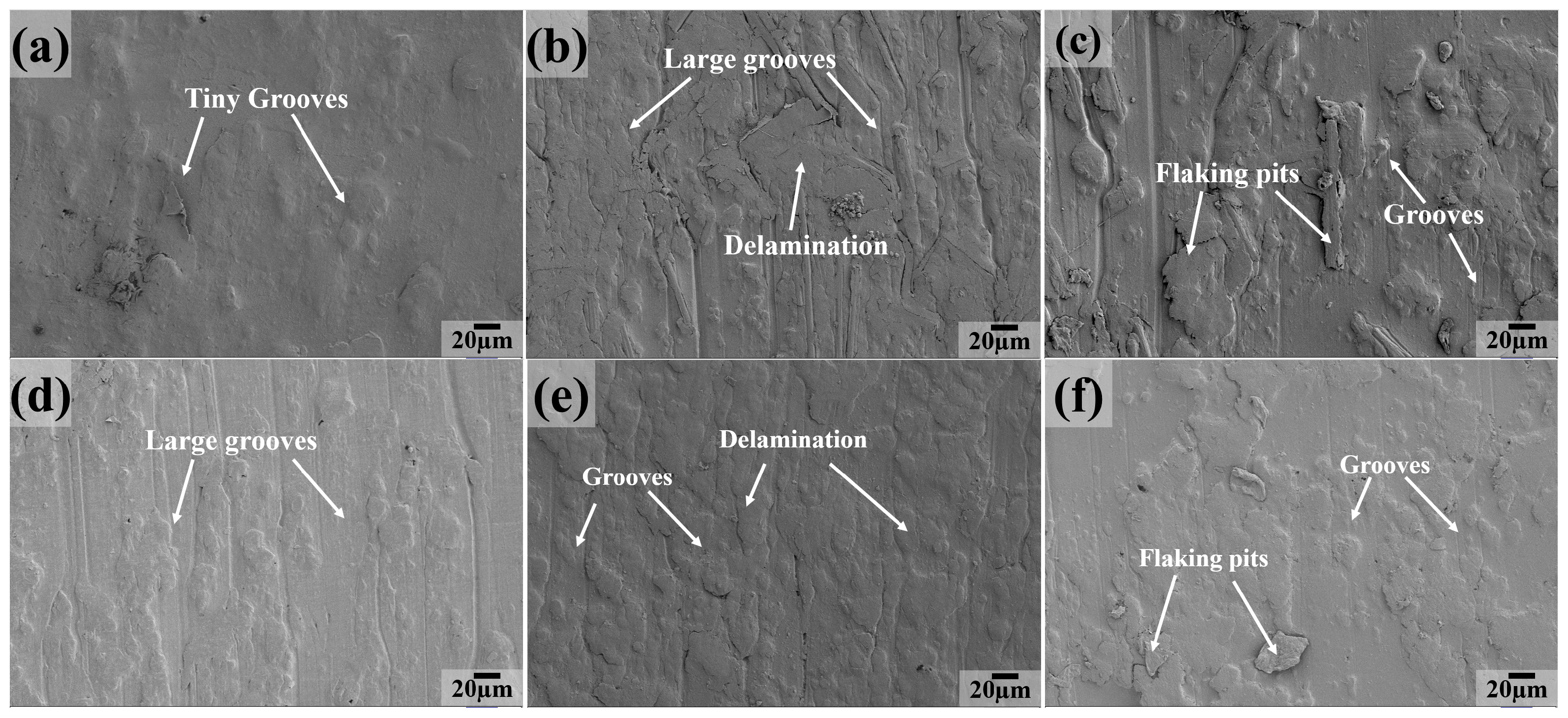 Polymers 16 03412 g011