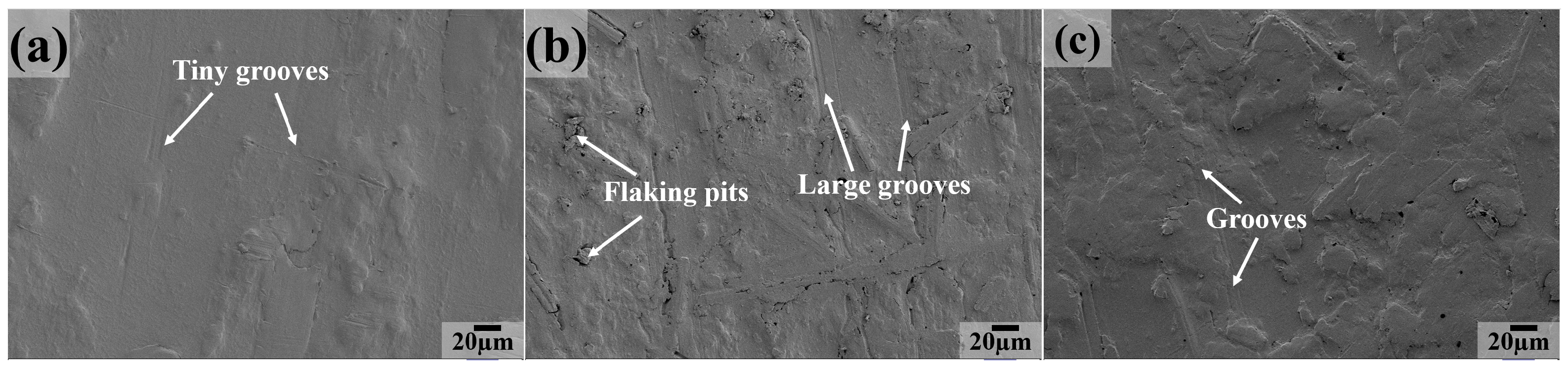 Polymers 16 03412 g012a