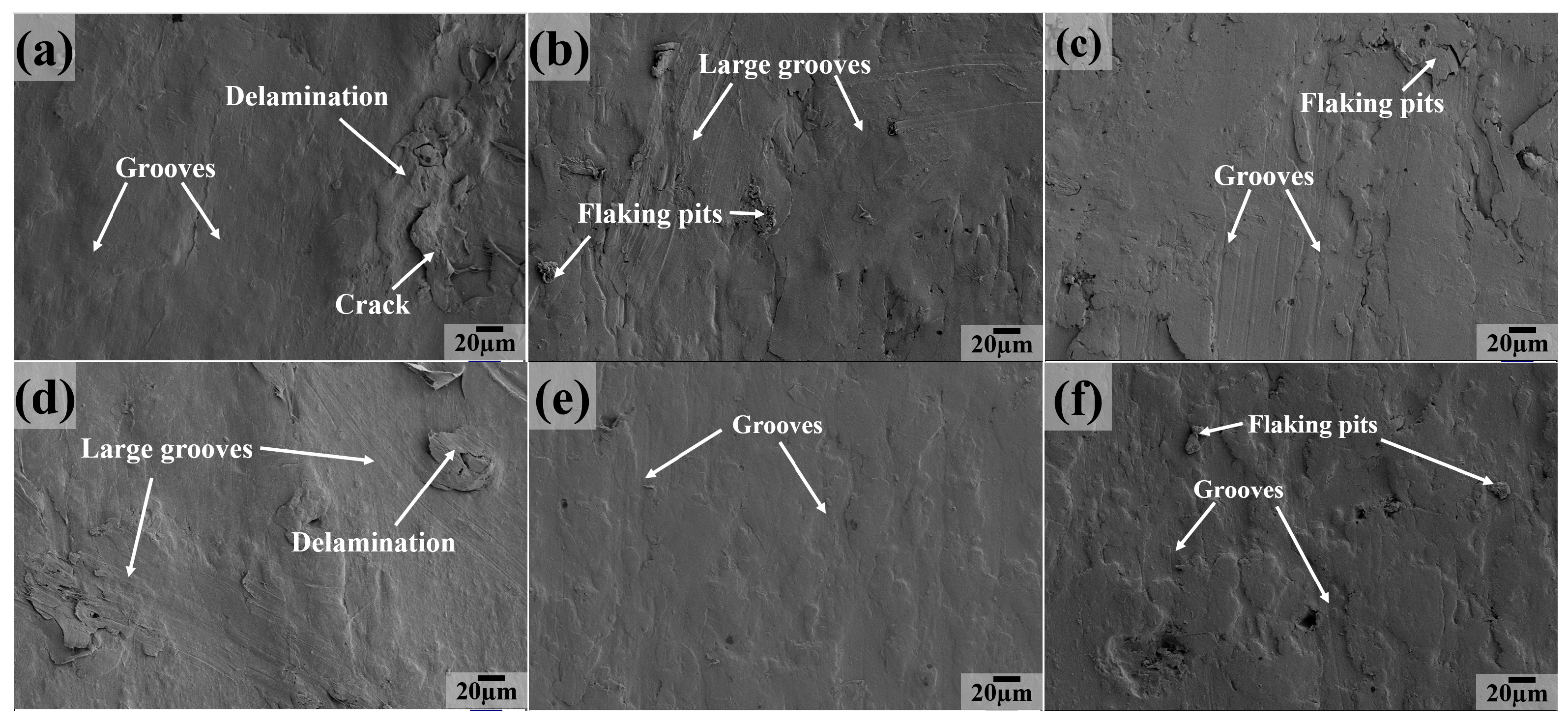 Polymers 16 03412 g013