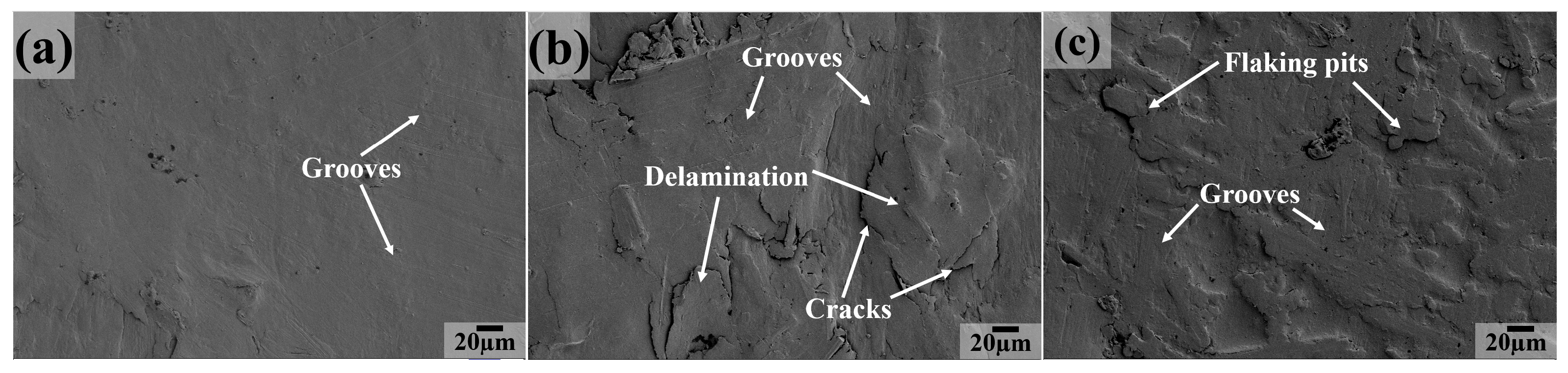 Polymers 16 03412 g015a