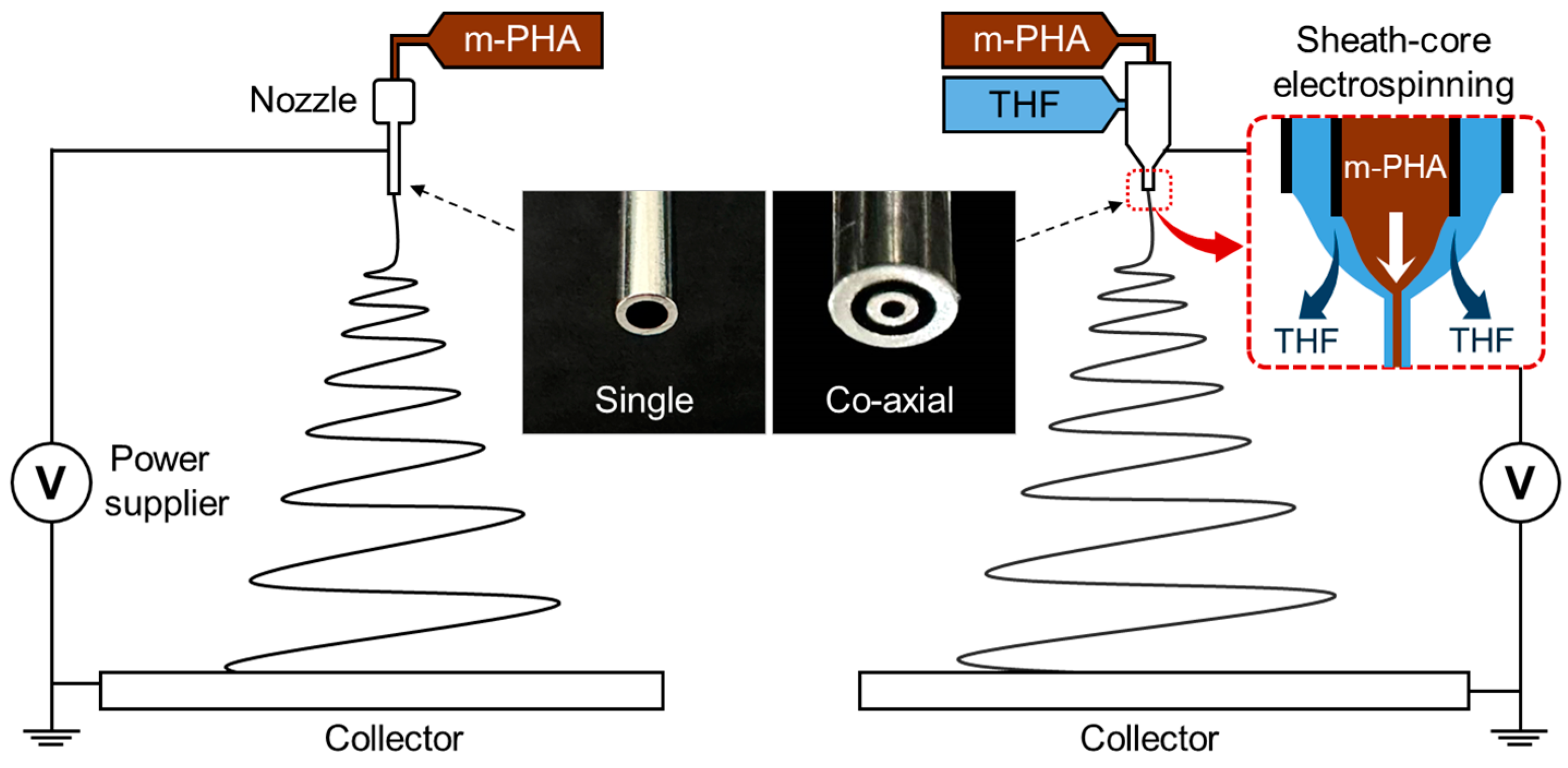 Polymers 16 03414 g001