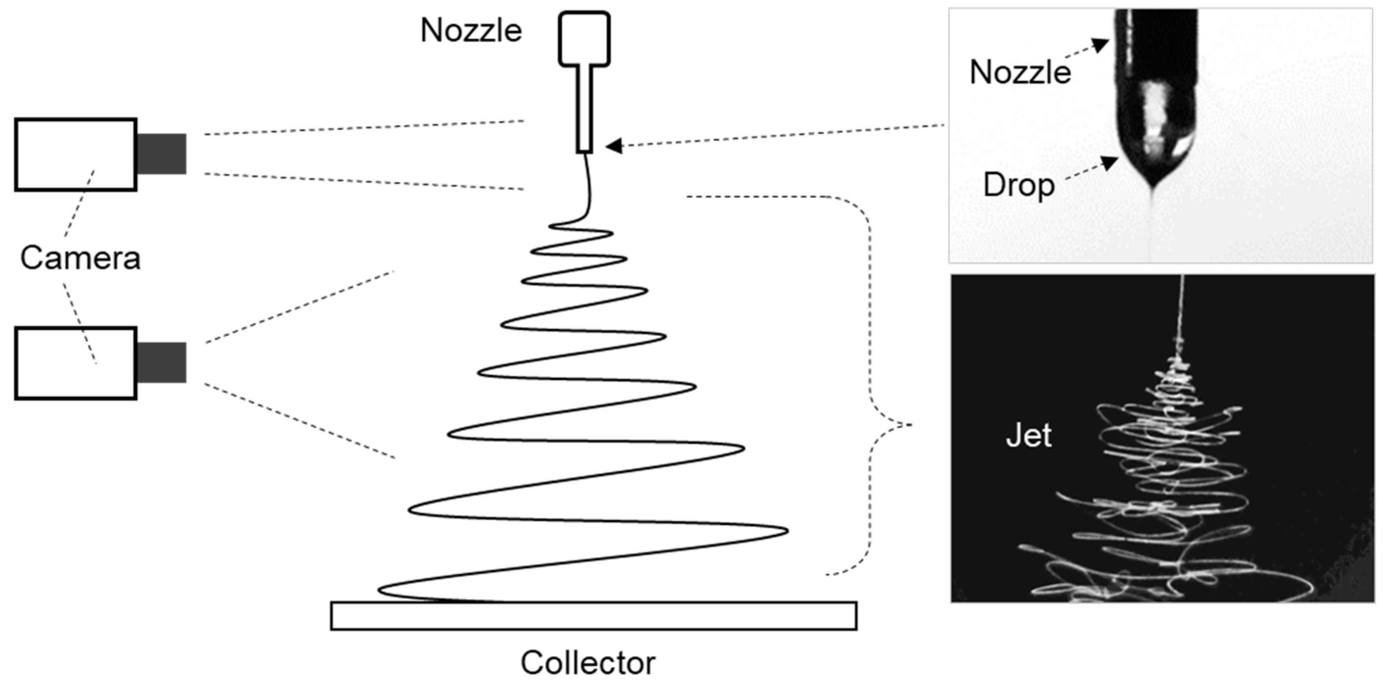 Polymers 16 03414 g002