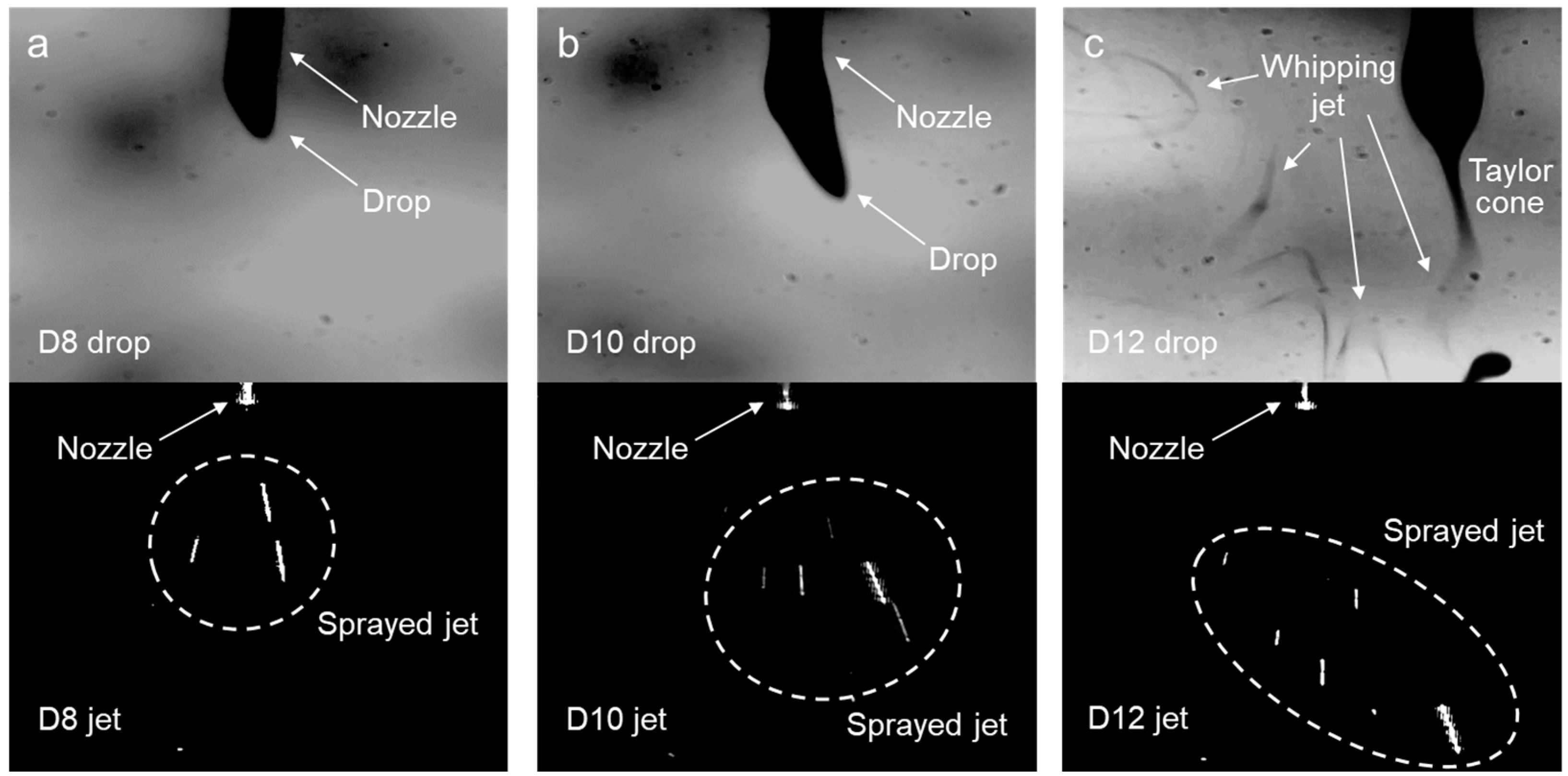 Polymers 16 03414 g004