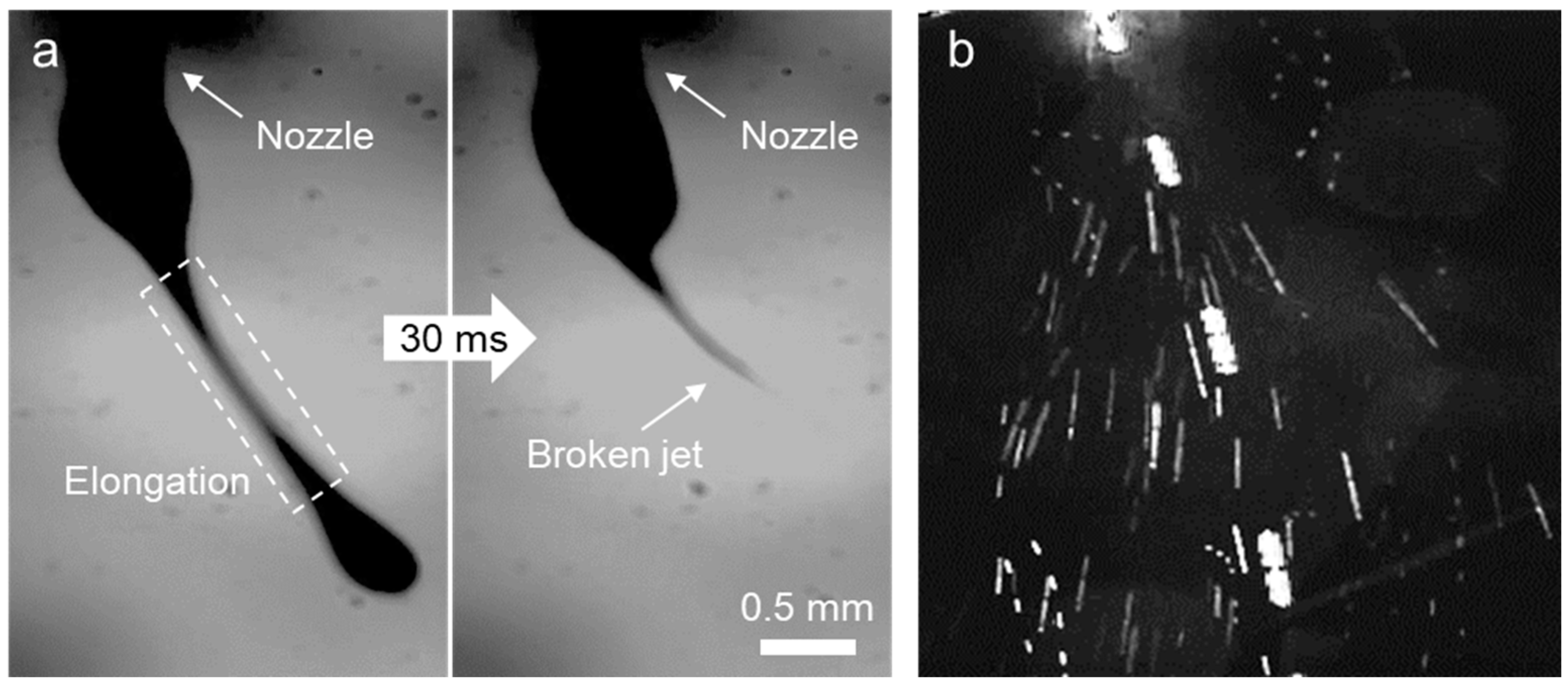 Polymers 16 03414 g007