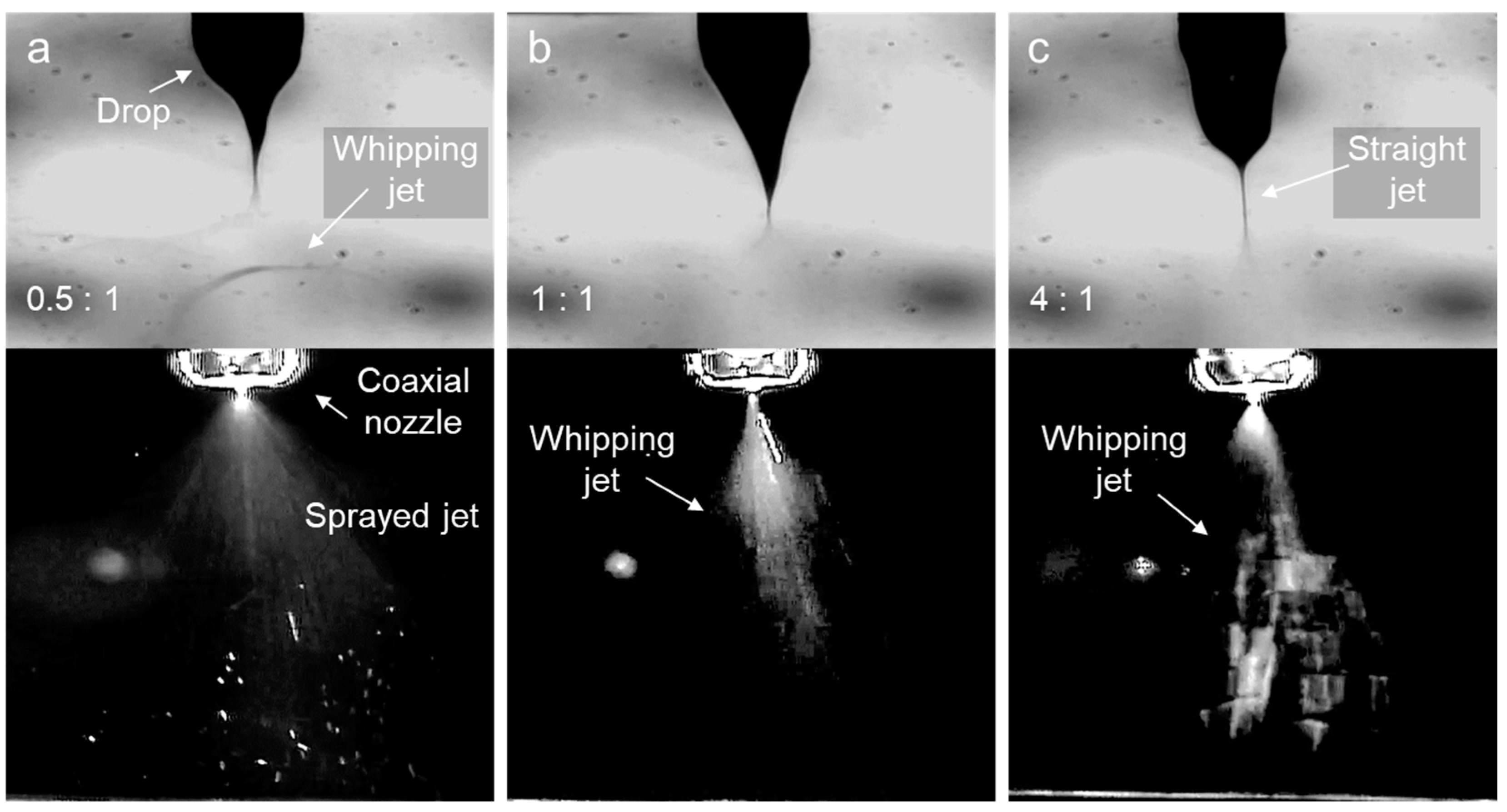 Polymers 16 03414 g011