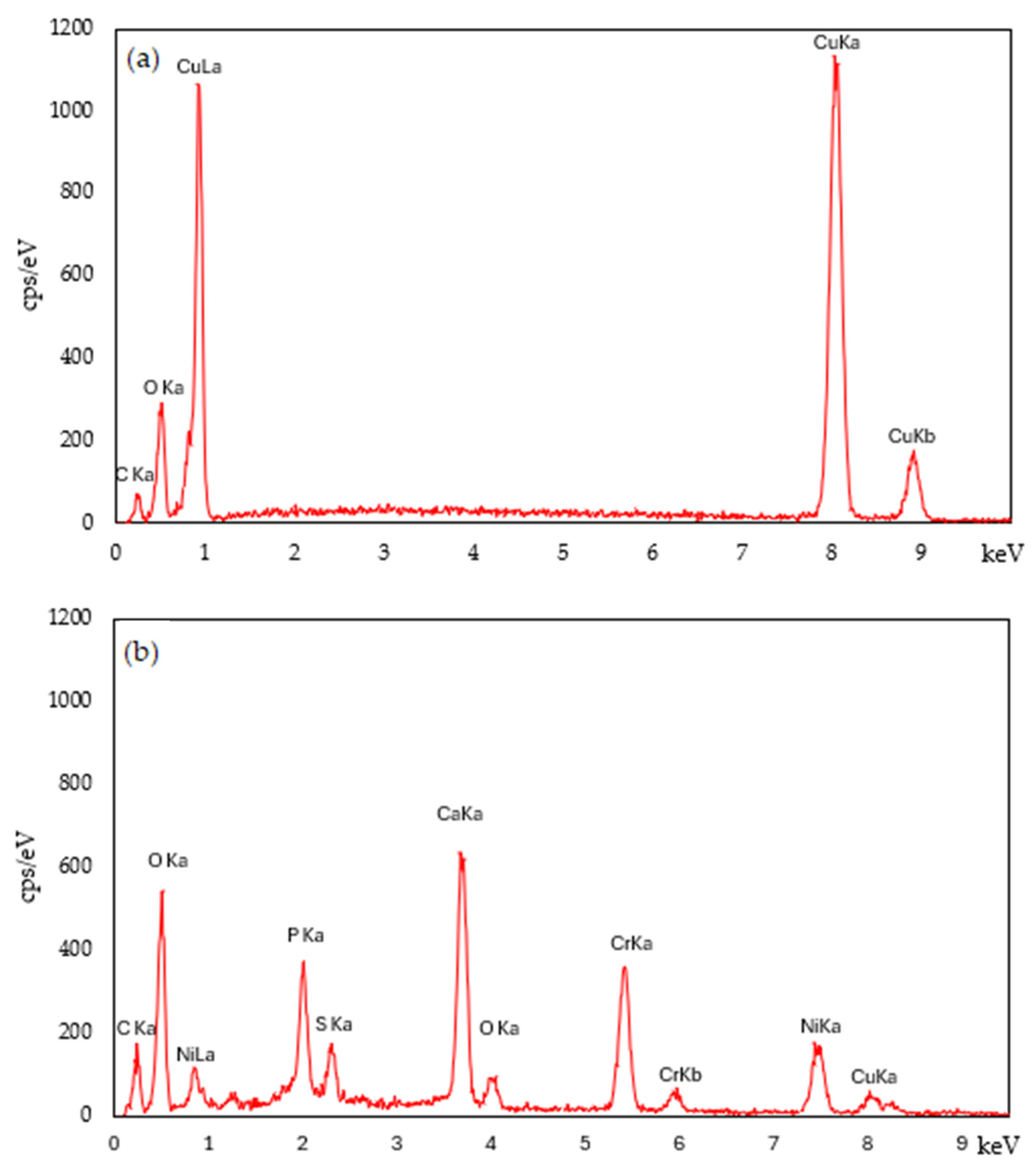 Polymers 16 03415 g005
