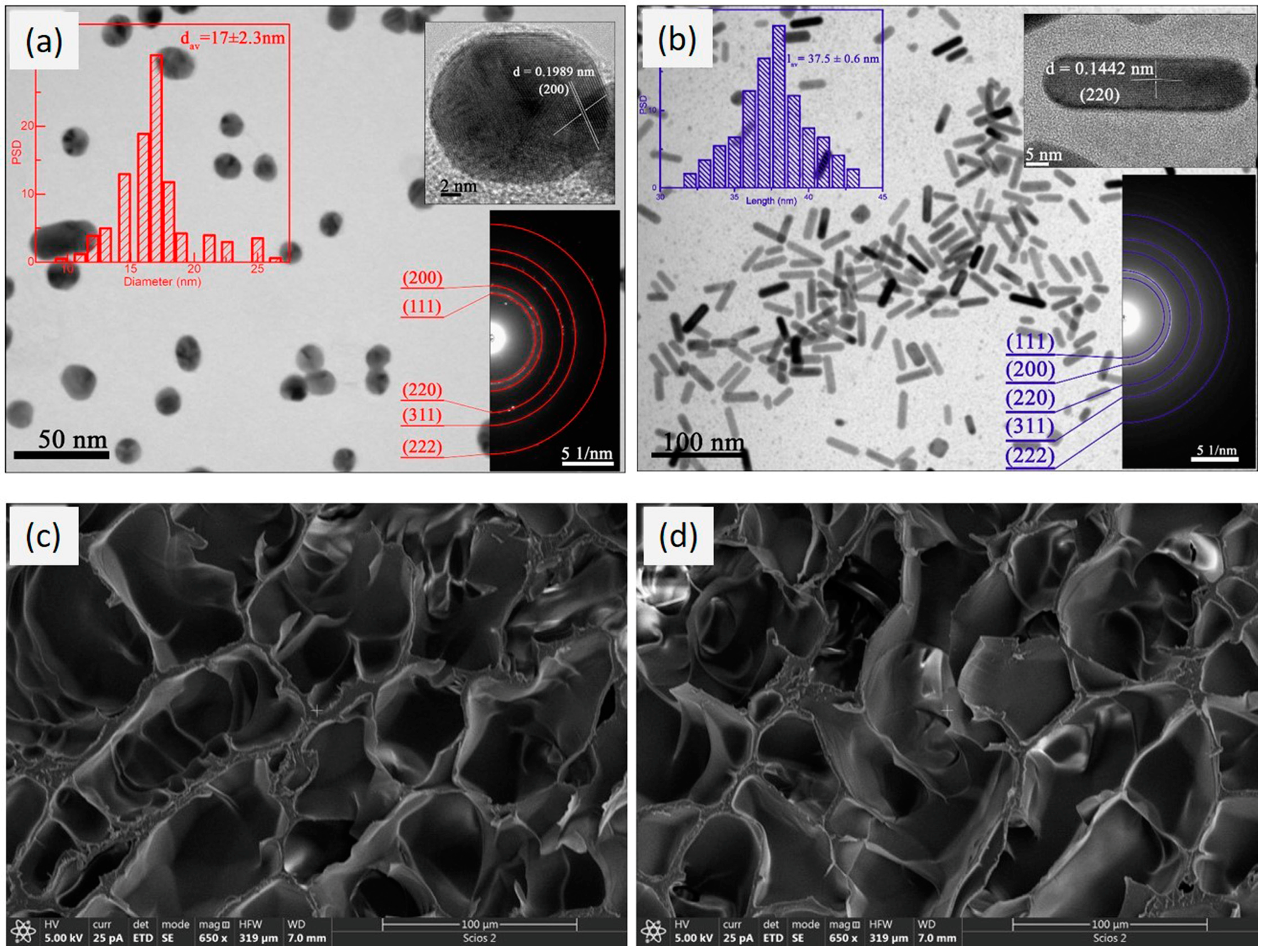 Polymers 16 03416 g004