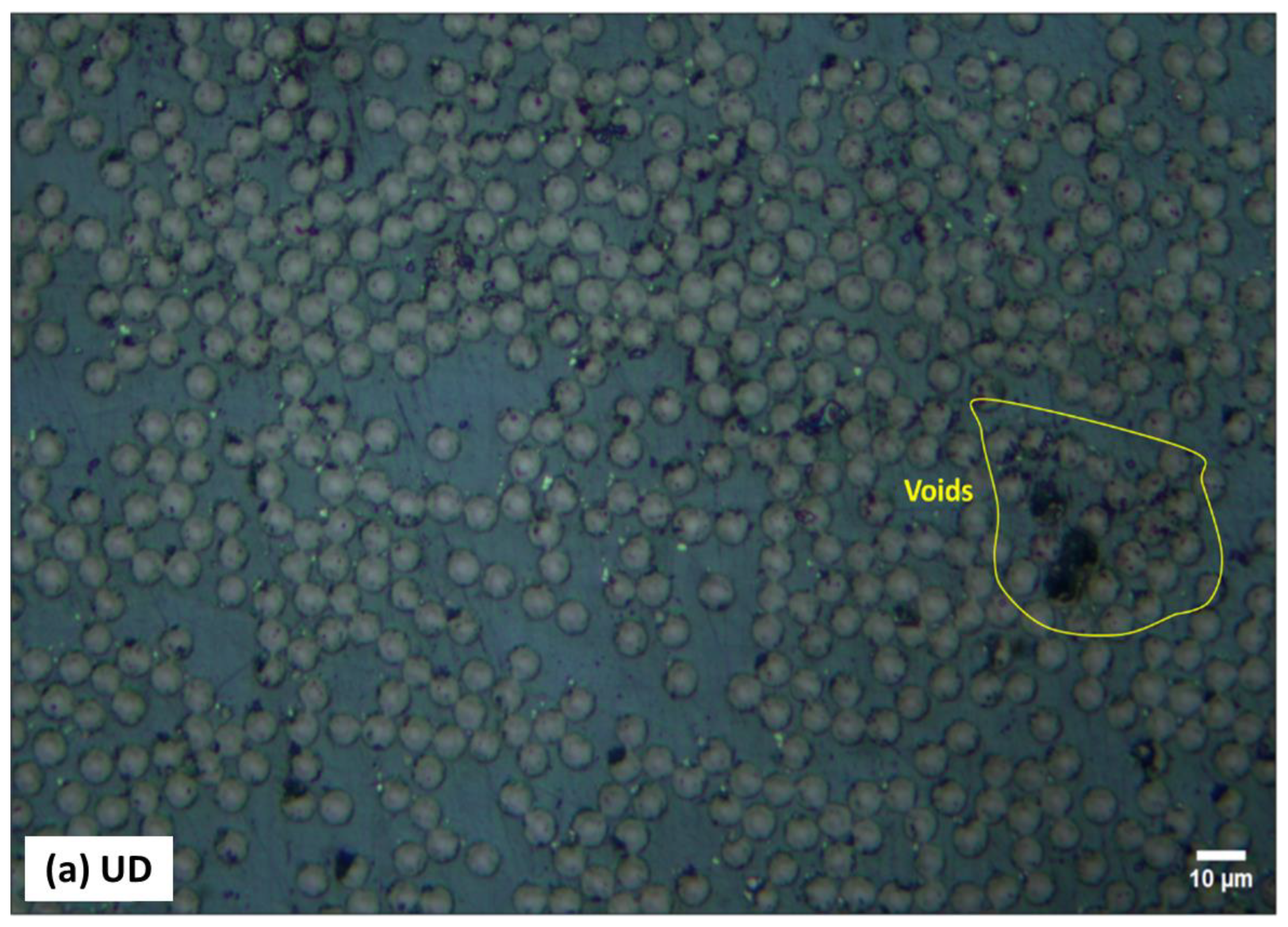 Polymers 16 03417 g005a