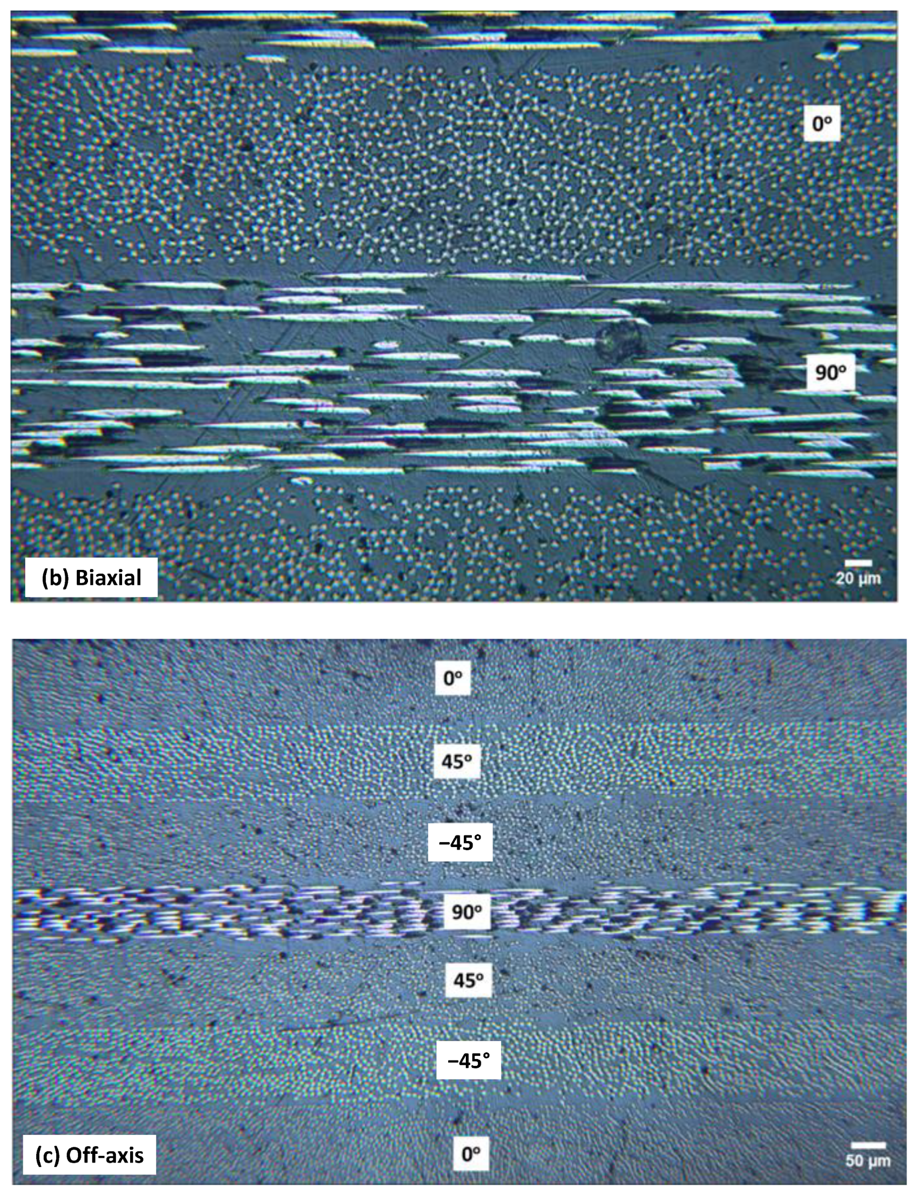 Polymers 16 03417 g005b