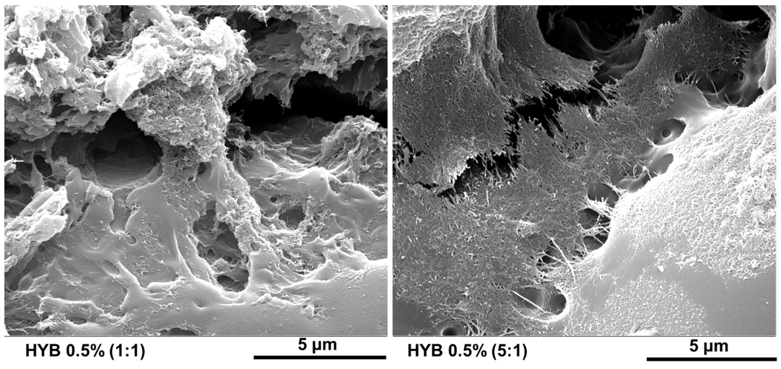 Polymers 16 03420 g027