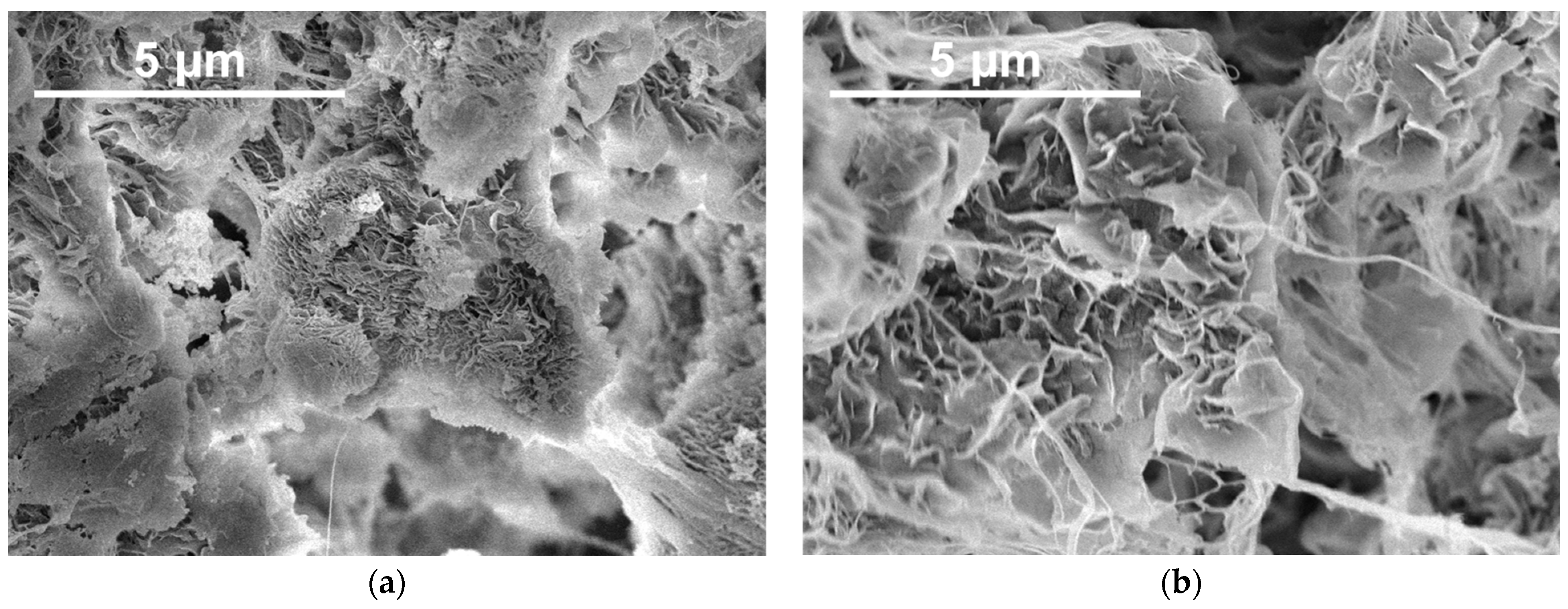 Polymers 16 03423 g001