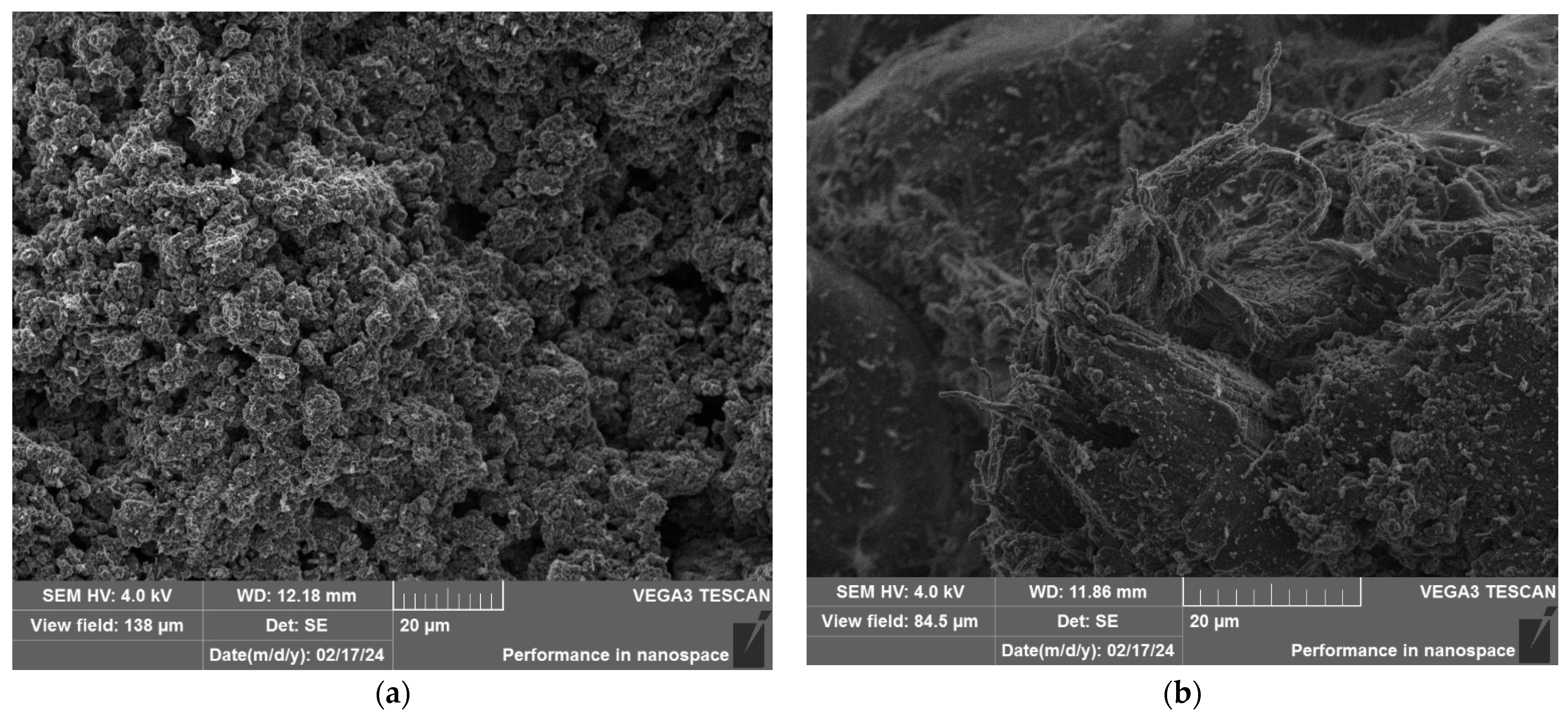 Polymers 16 03425 g011