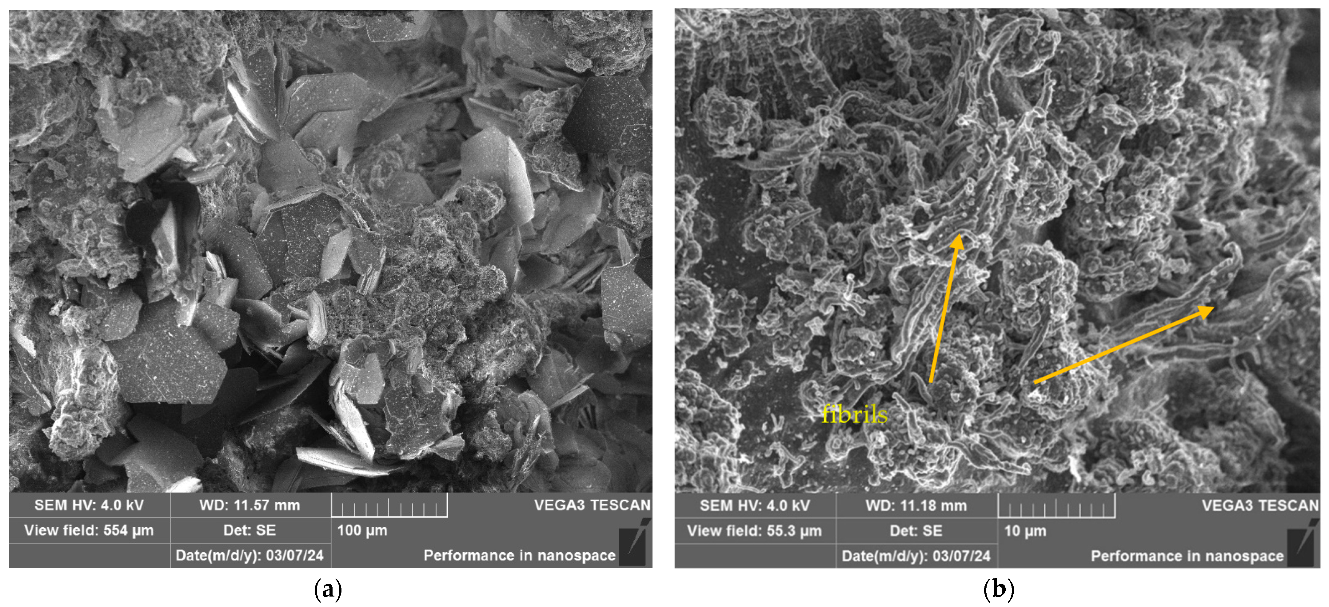 Polymers 16 03425 g013
