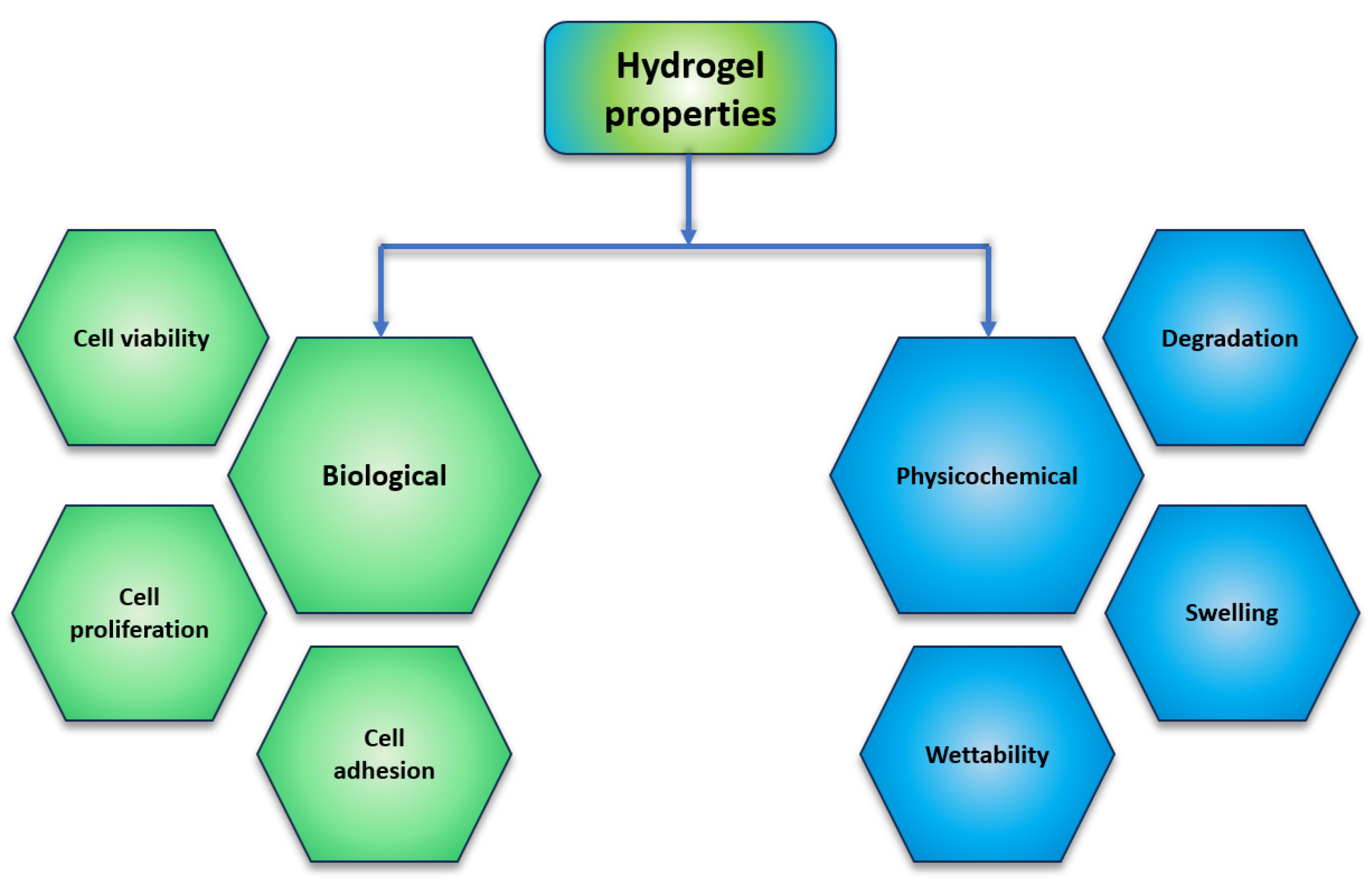 Polymers 16 03429 g004
