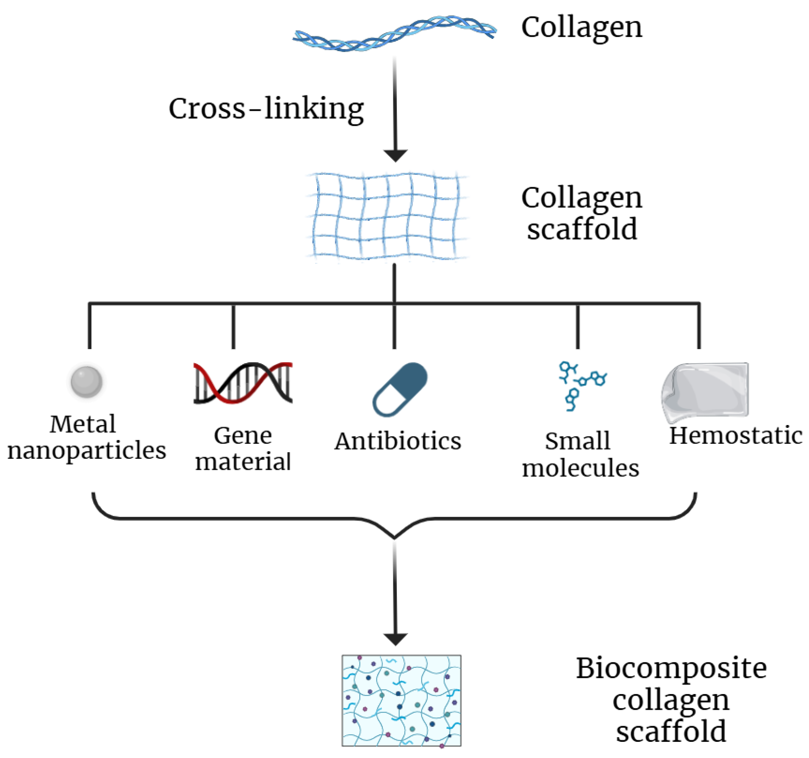 Polymers 16 03429 g008