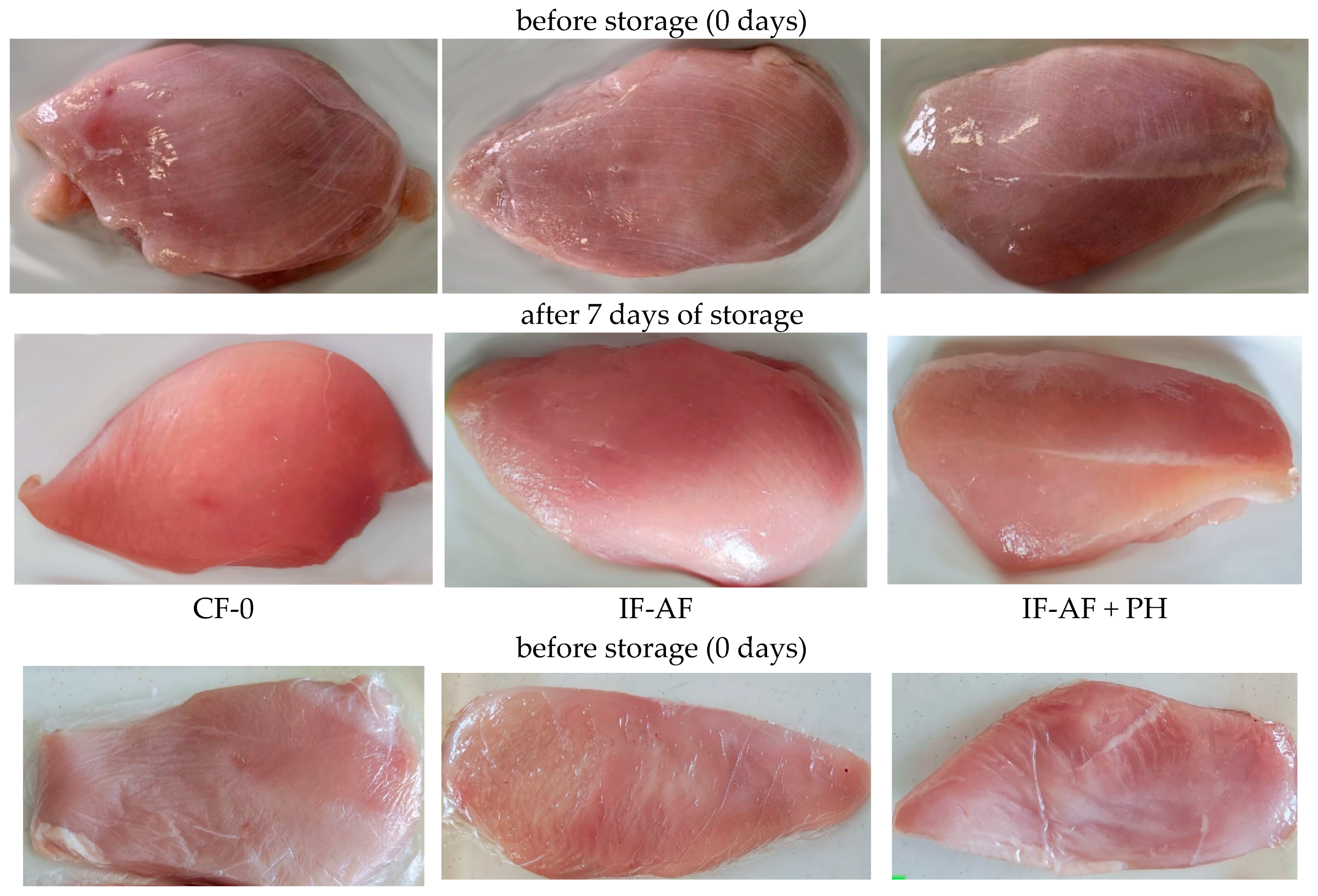 Polymers 16 03430 g005a