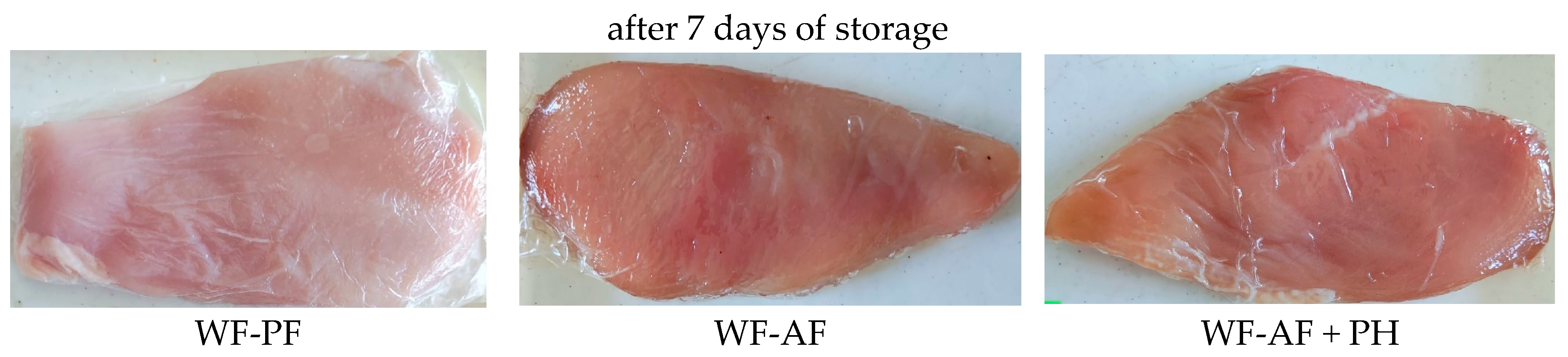 Polymers 16 03430 g005b