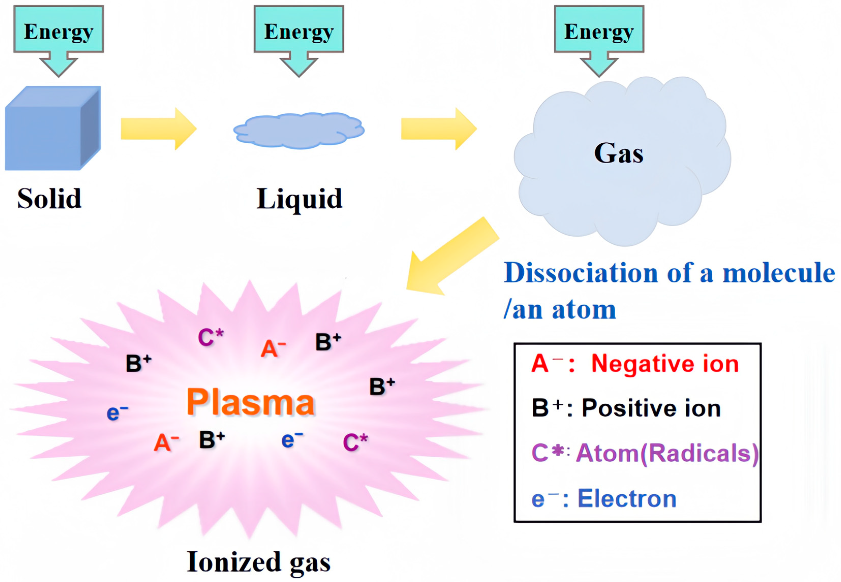 Polymers 16 03431 g002
