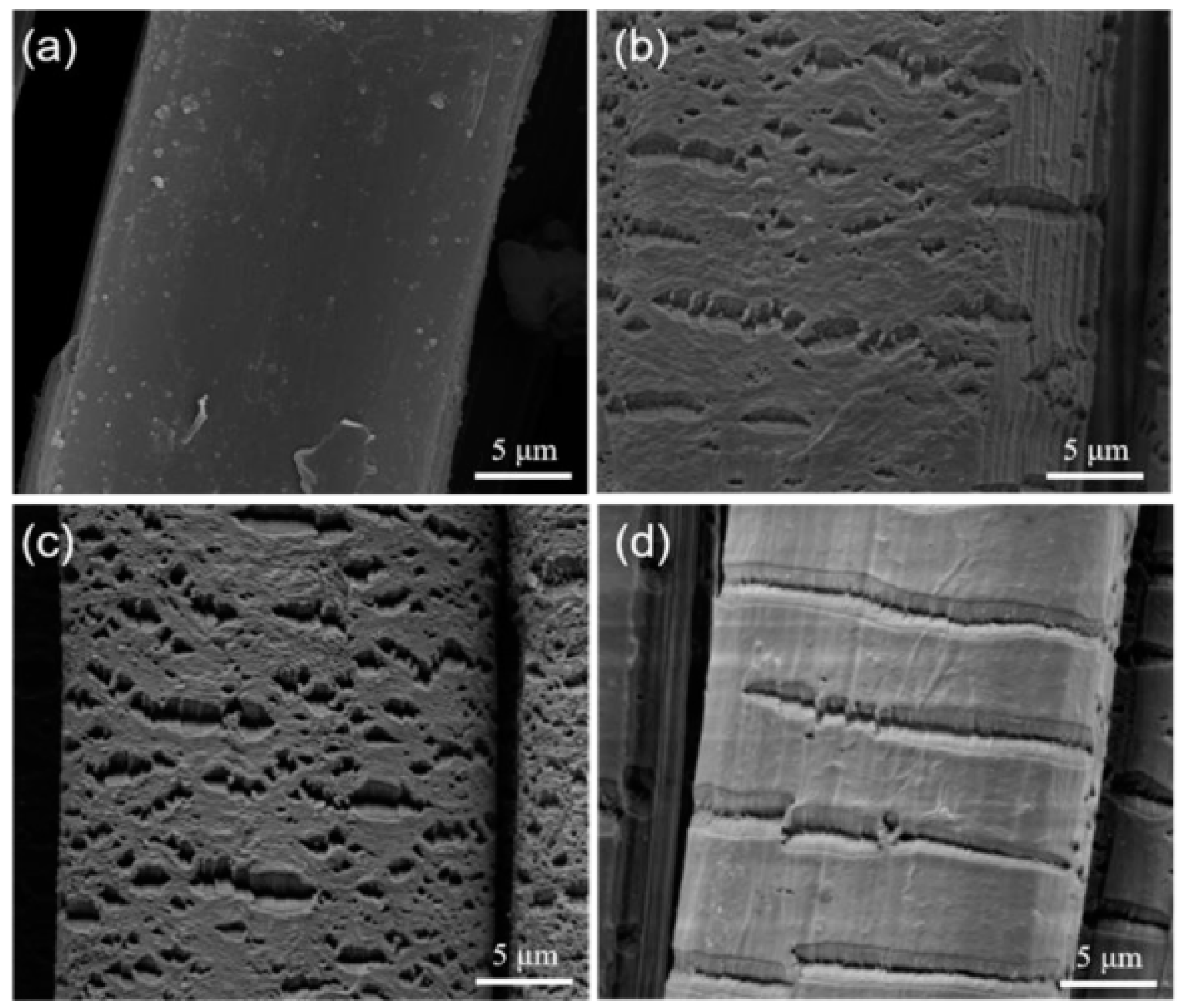 Polymers 16 03431 g003