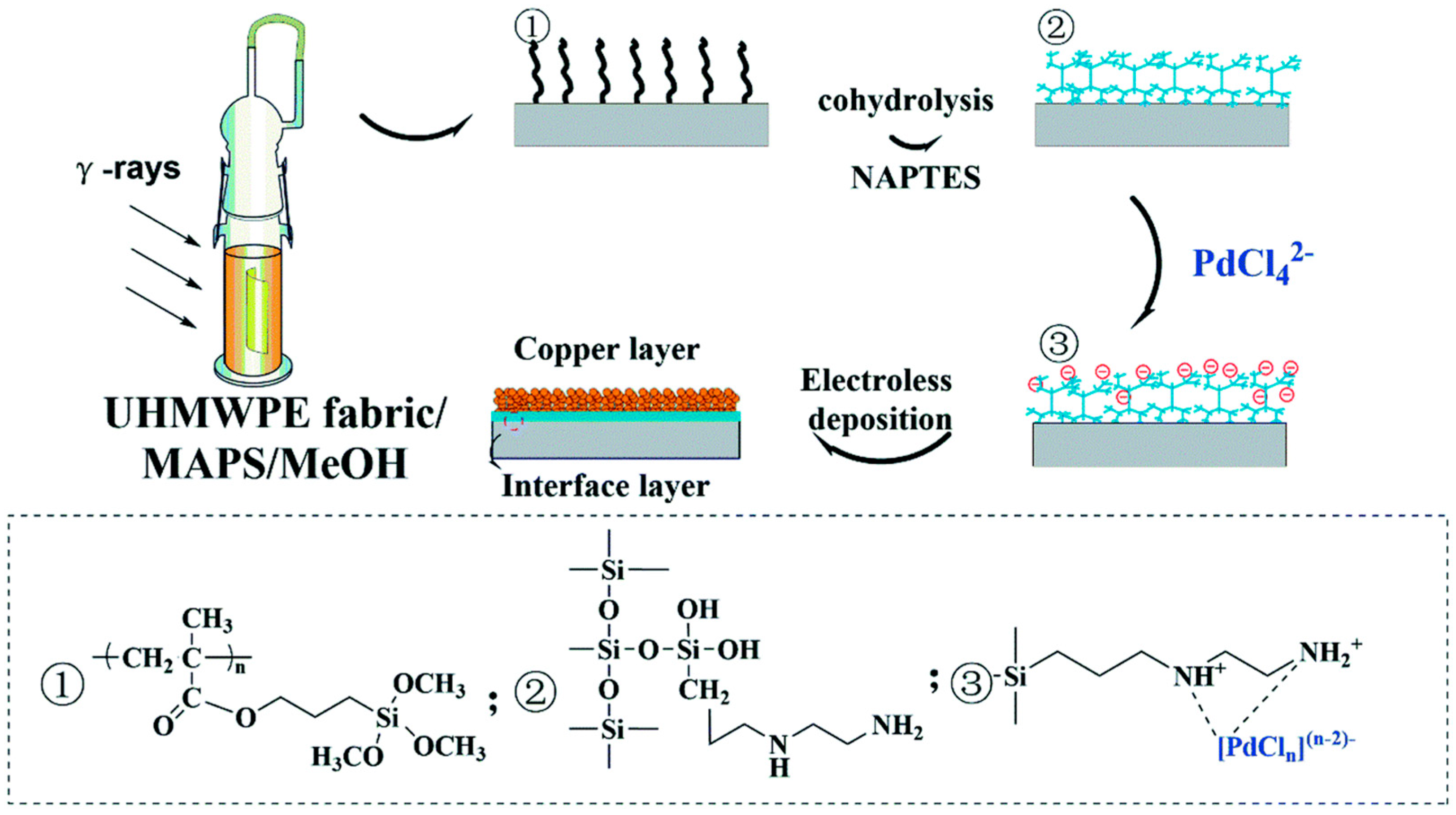 Polymers 16 03431 g006