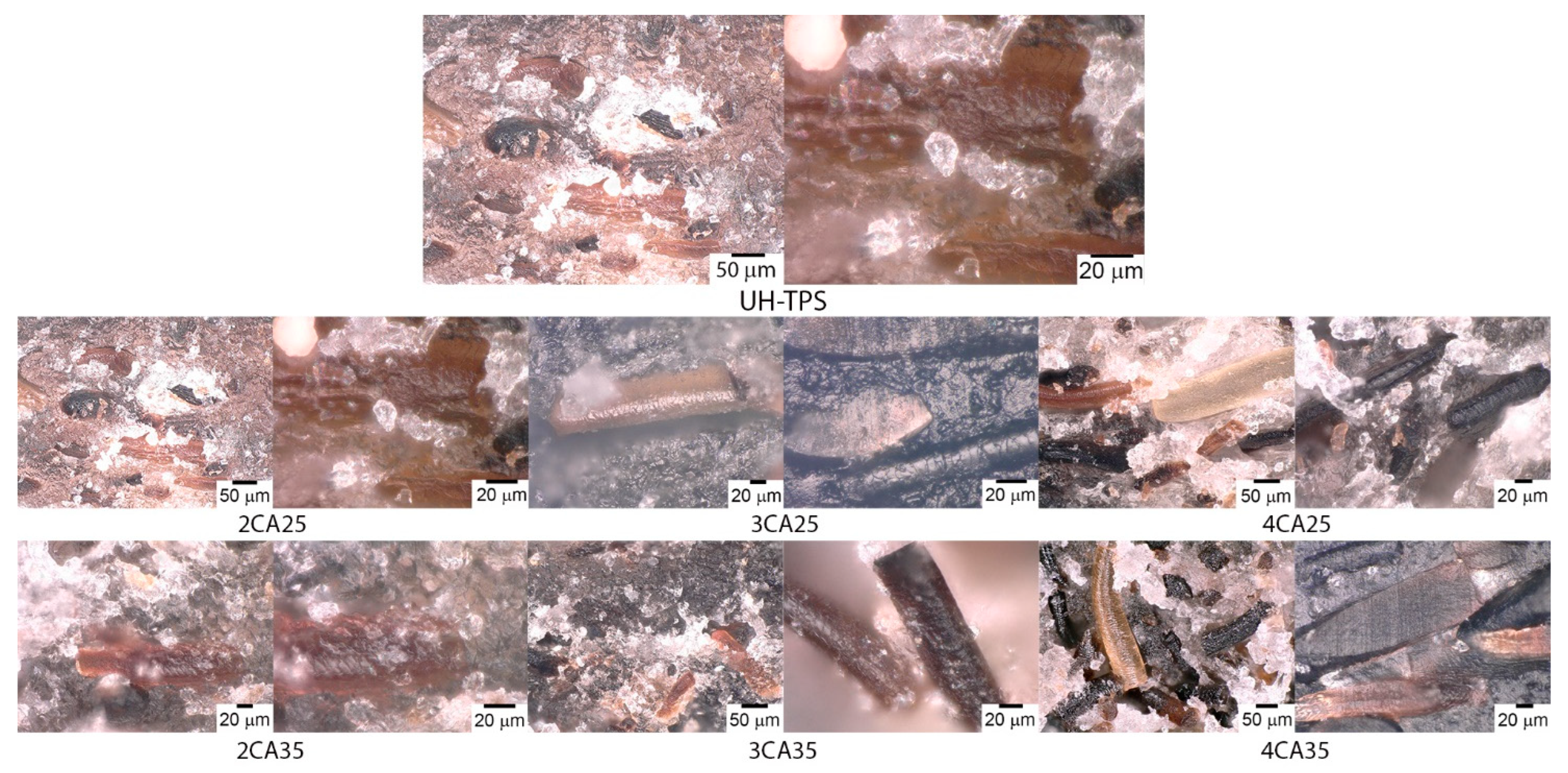 Polymers 16 03432 g003