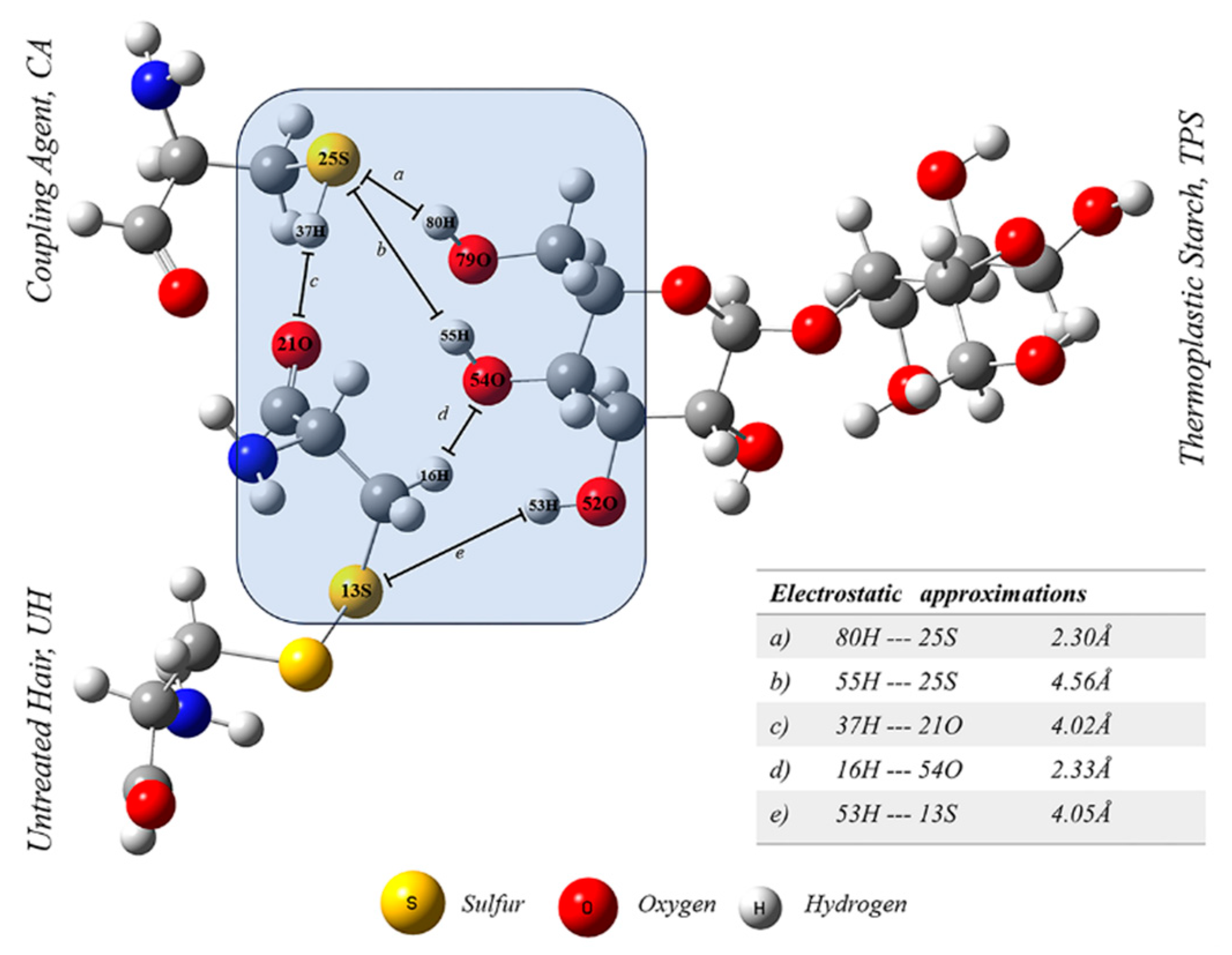 Polymers 16 03432 g008