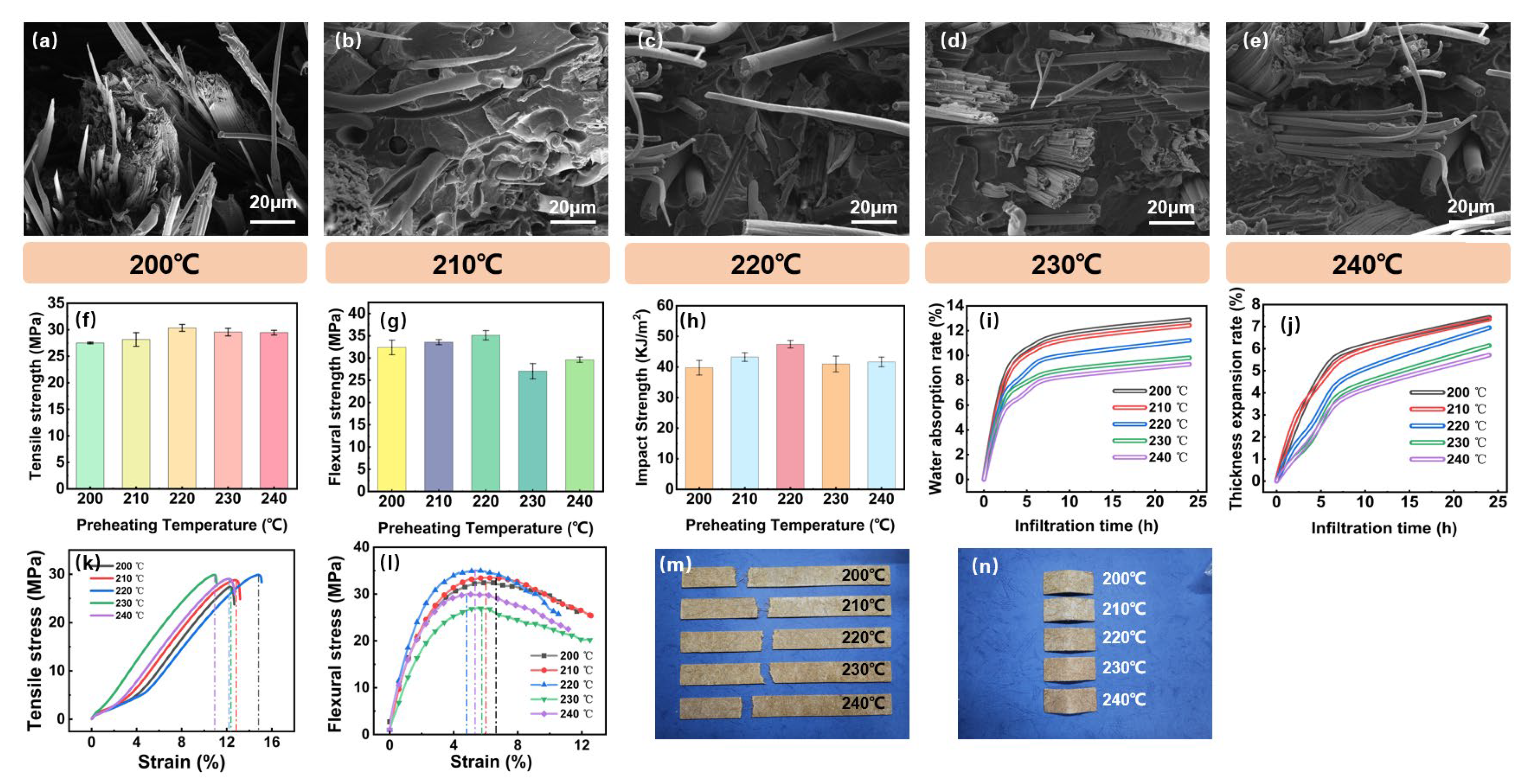 Polymers 16 03435 g004