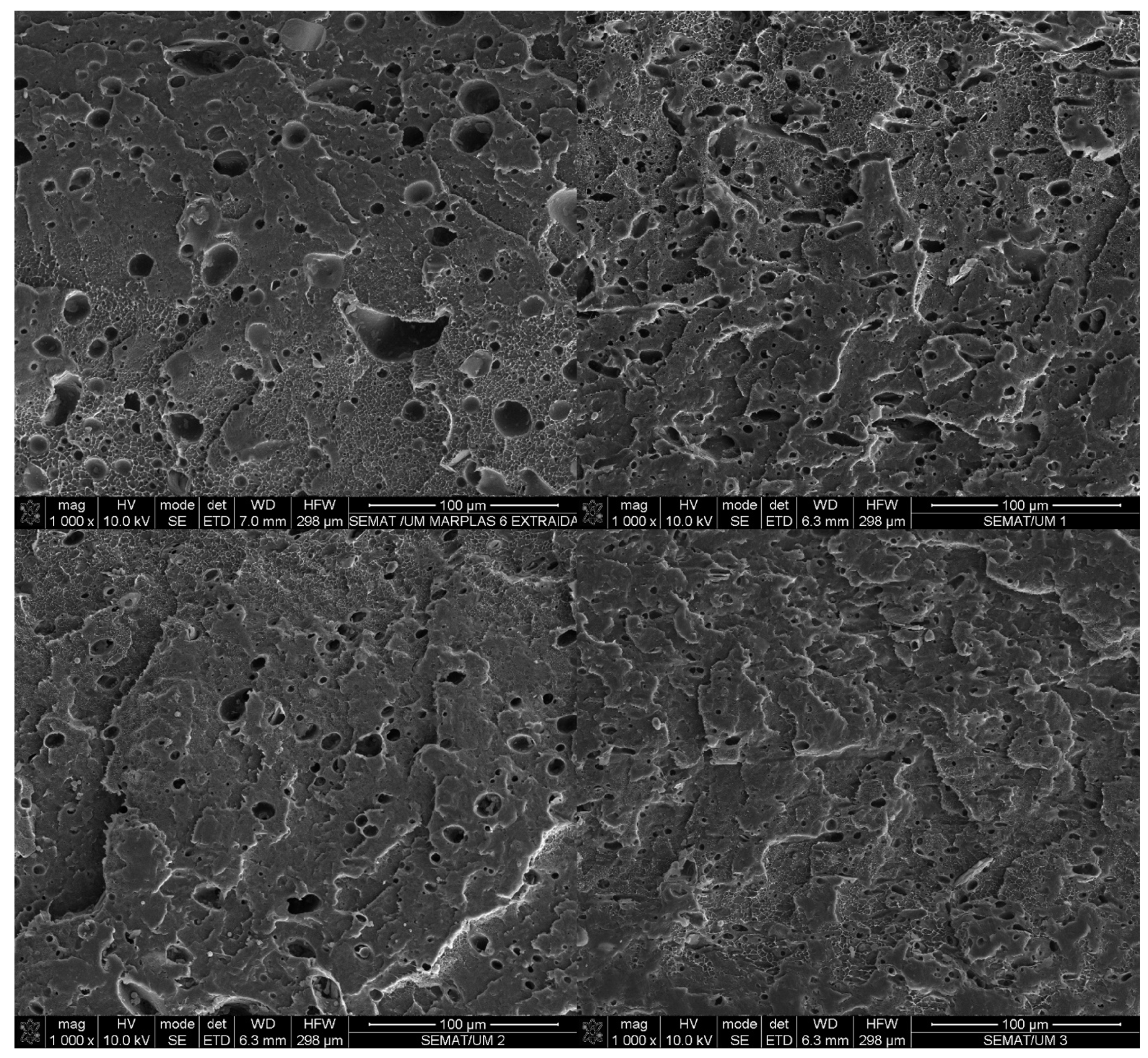 Polymers 16 03441 g003