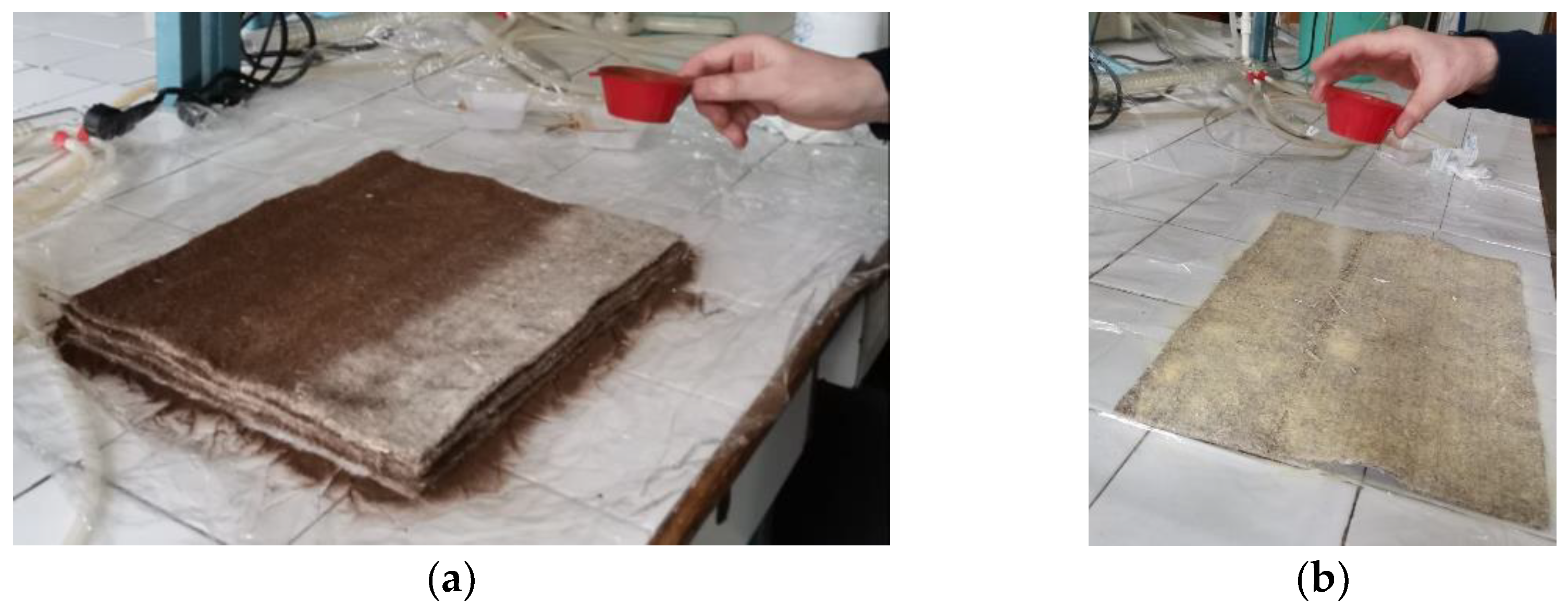 Polymers 16 03442 g001