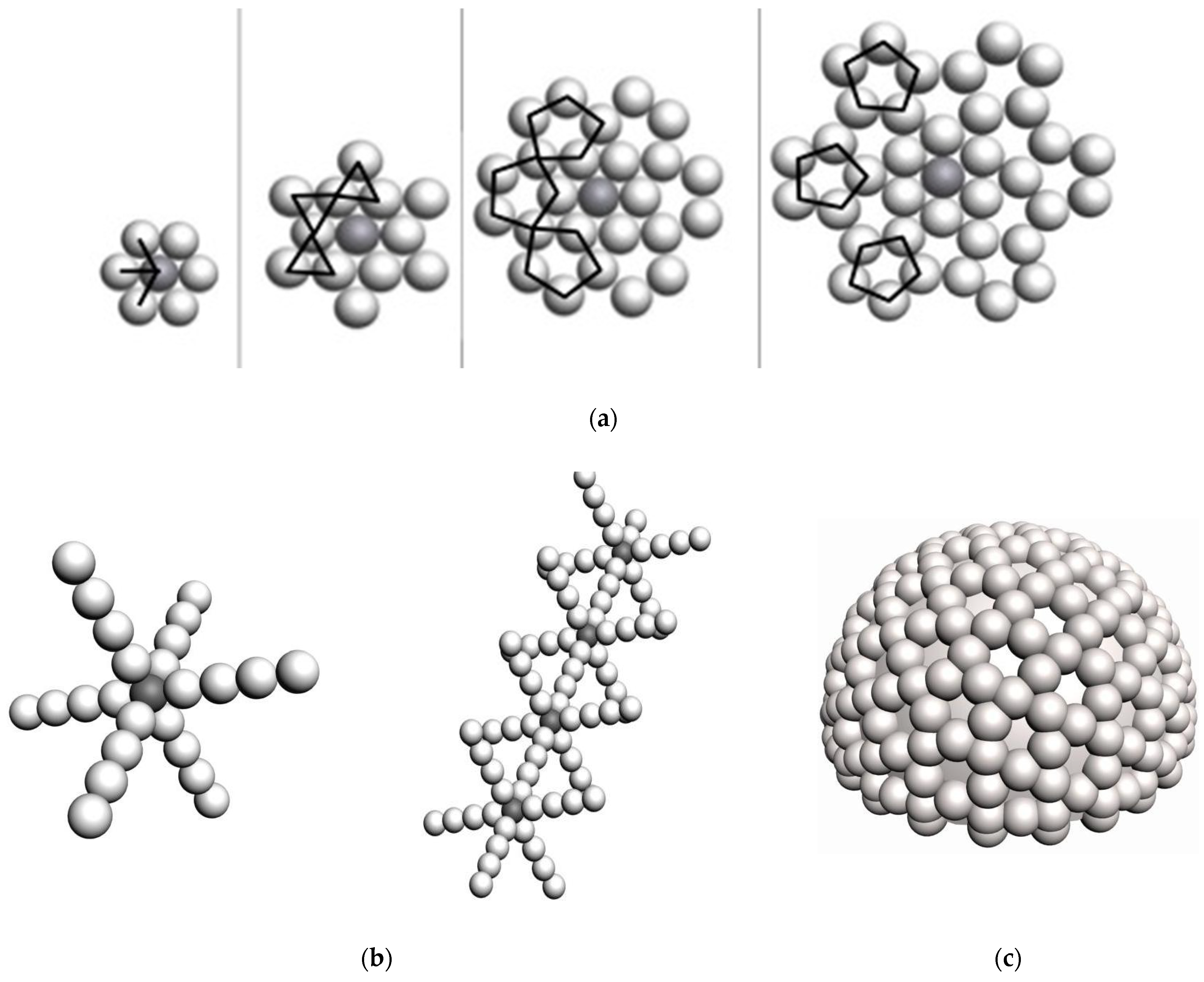 Polymers 16 03443 g001