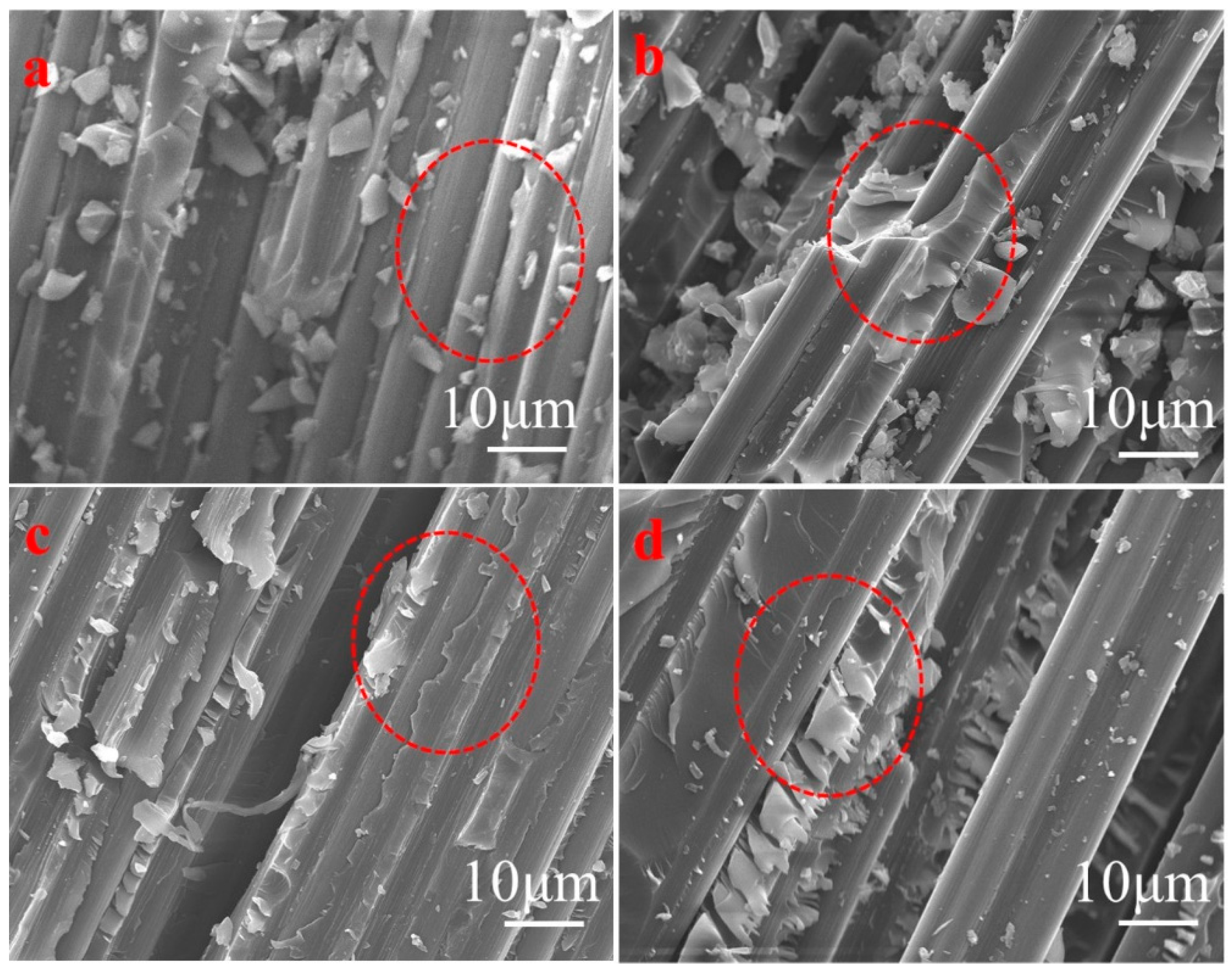 Polymers 16 03447 g006