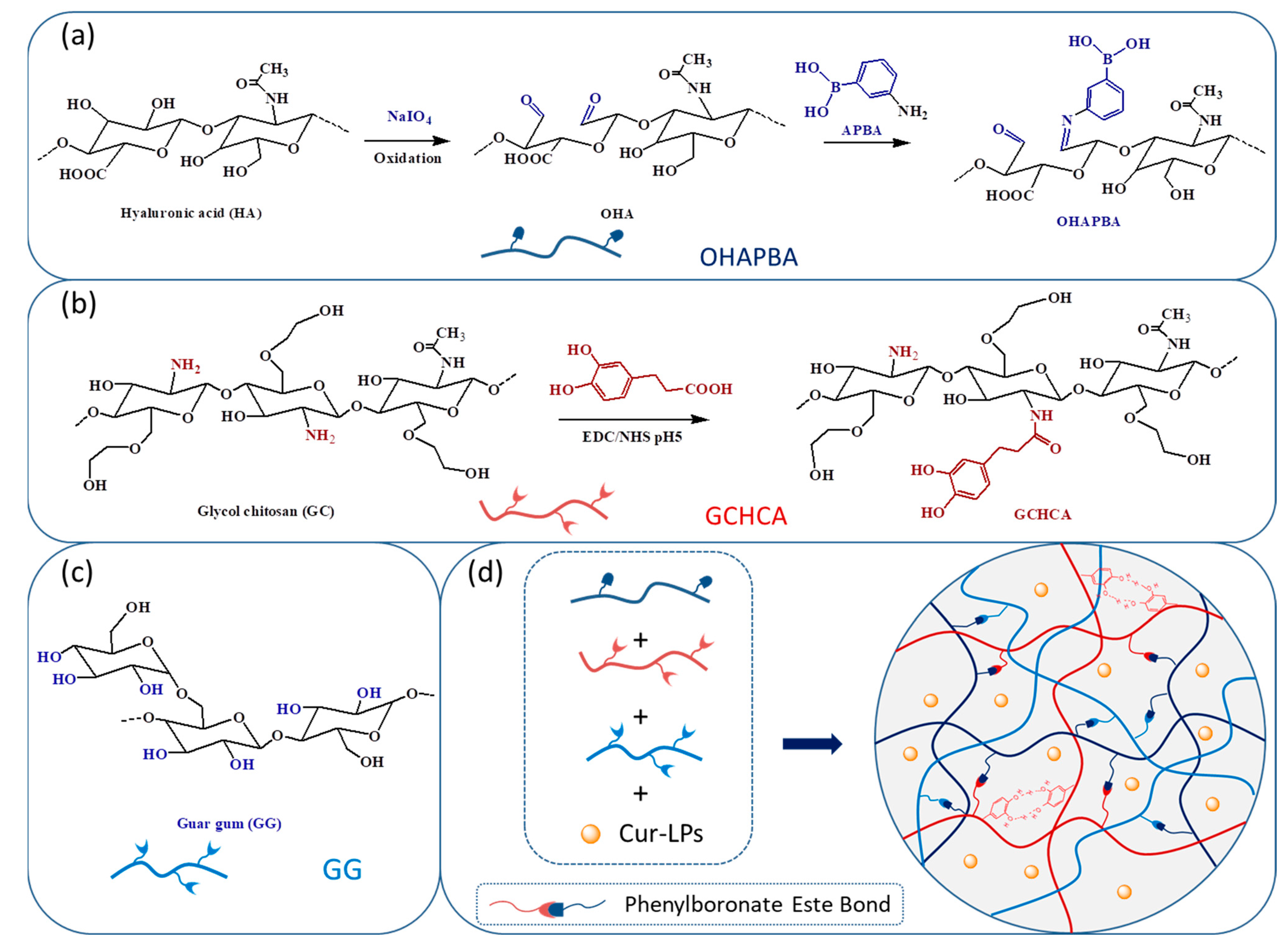 Polymers 16 03451 g001