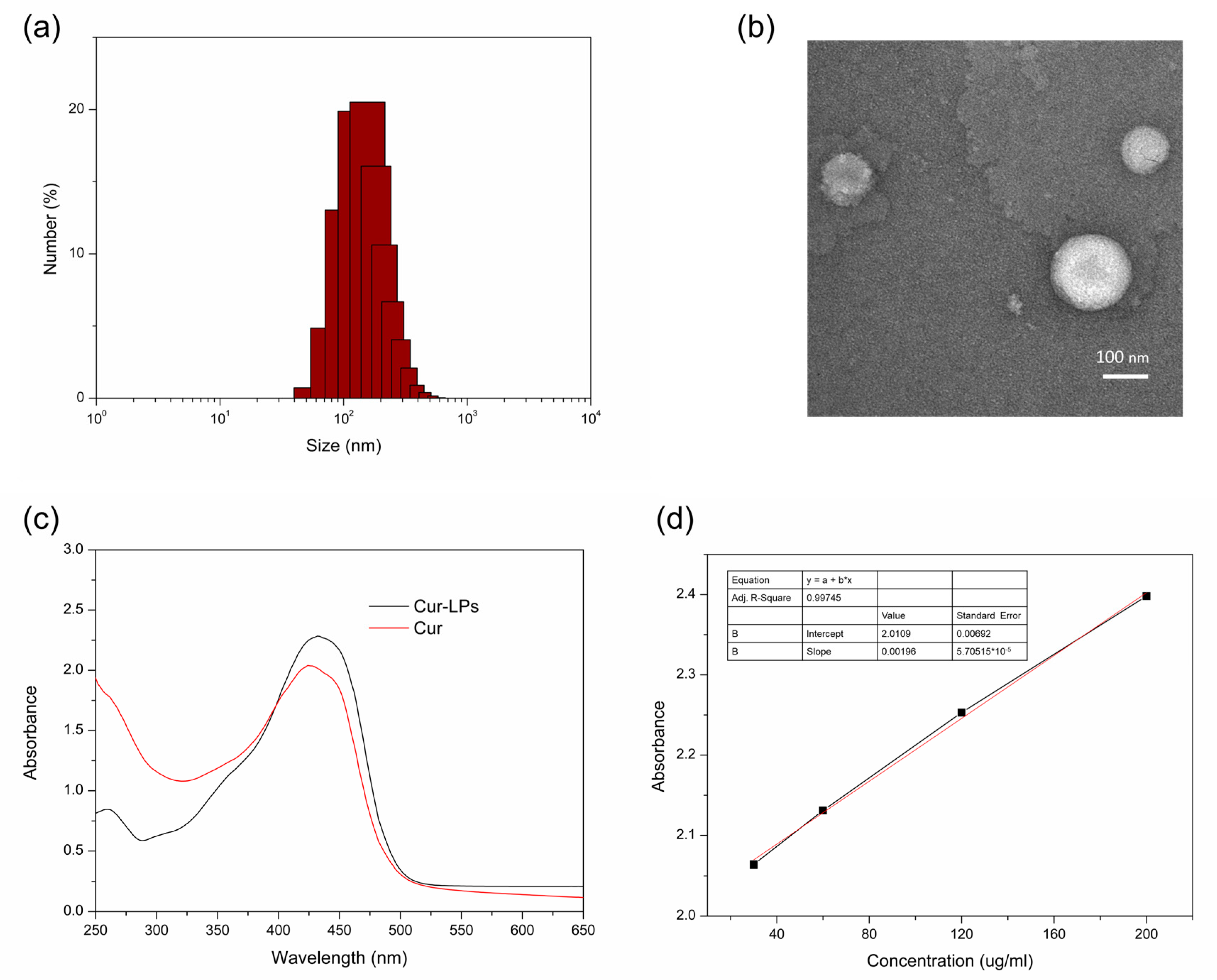 Polymers 16 03451 g002