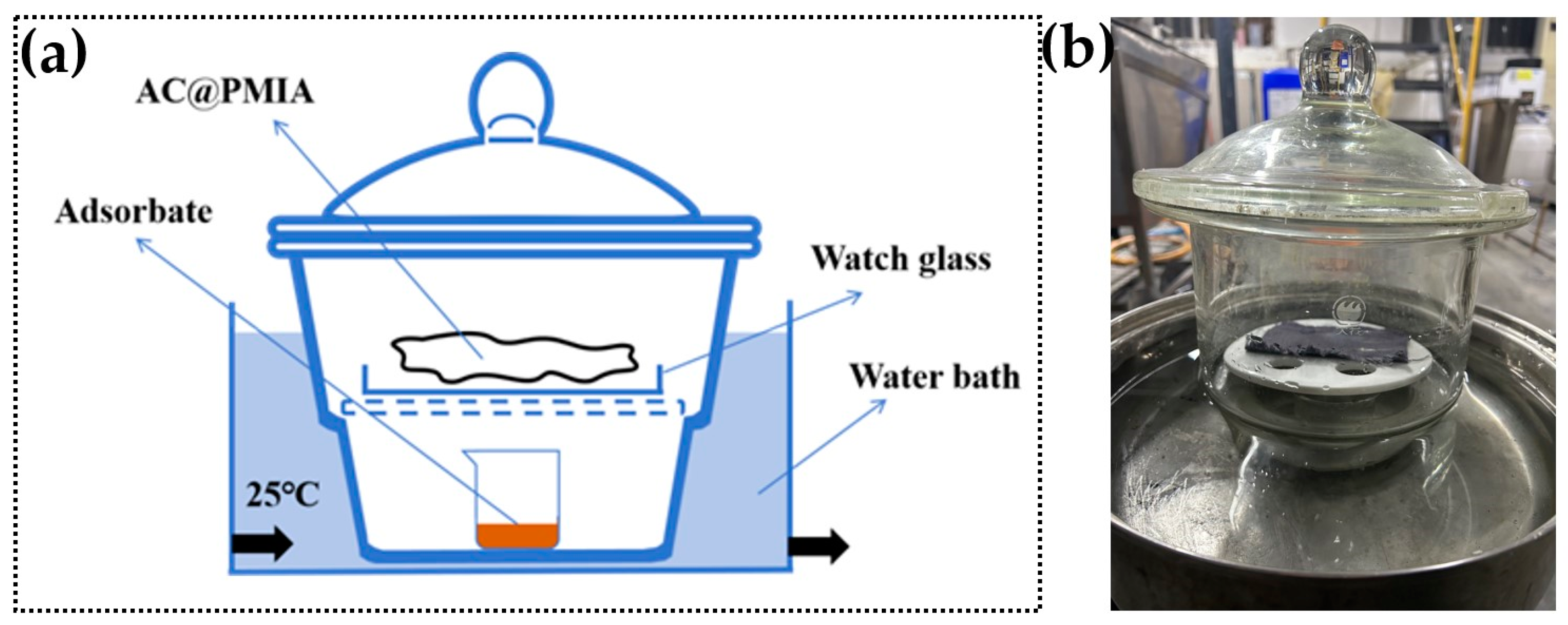 Polymers 16 03452 g002