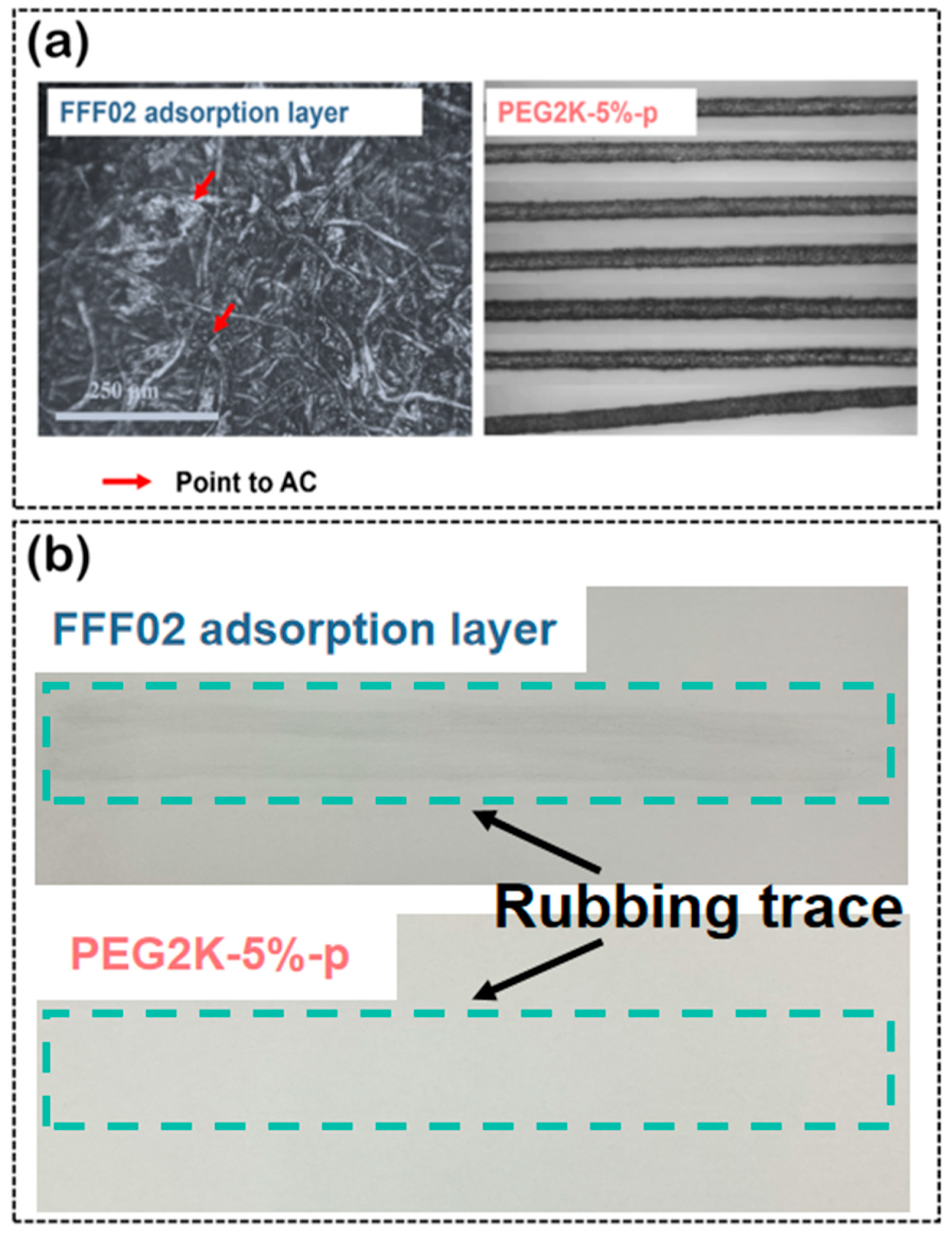 Polymers 16 03452 g011