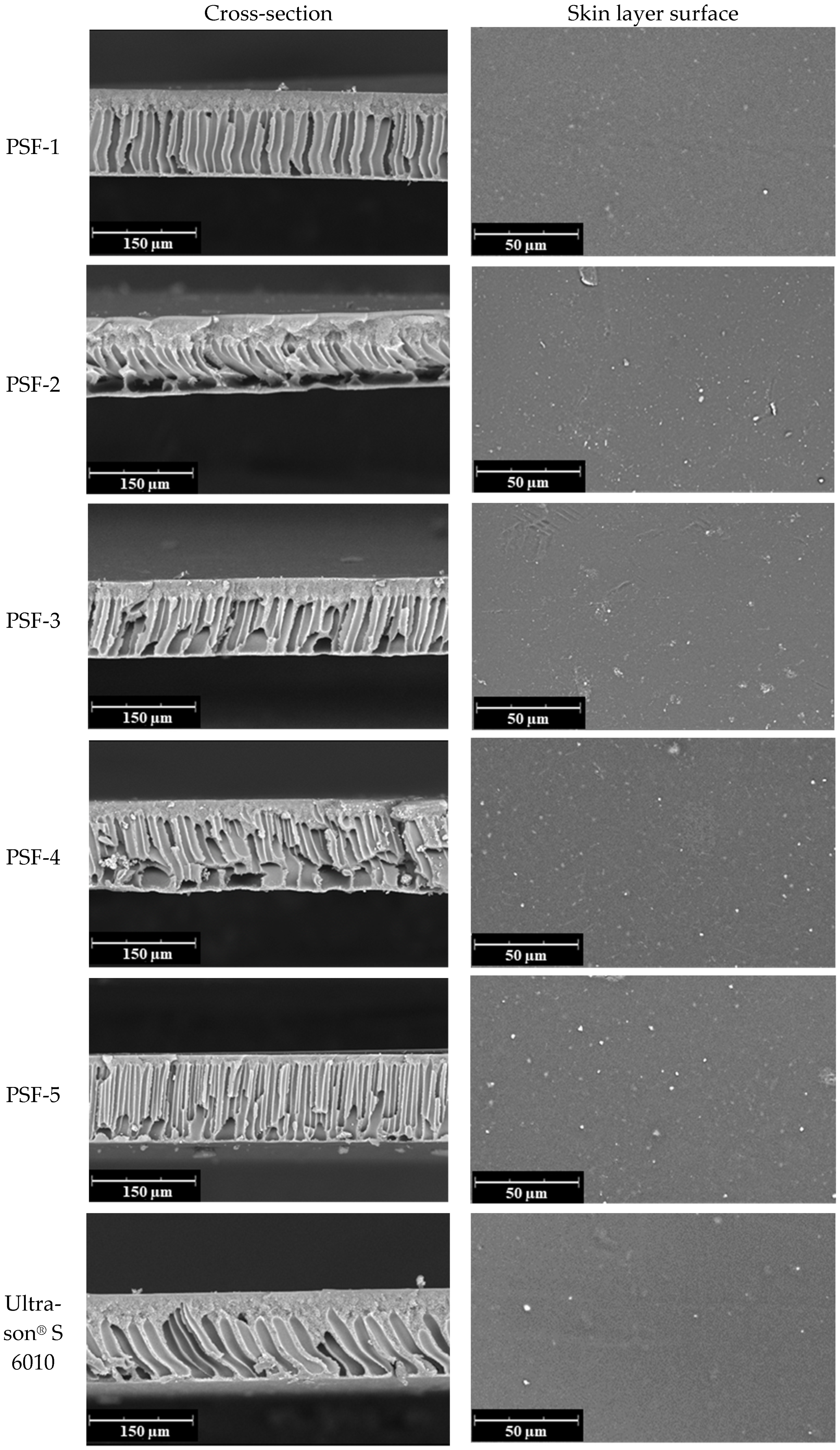 Polymers 16 03453 g007