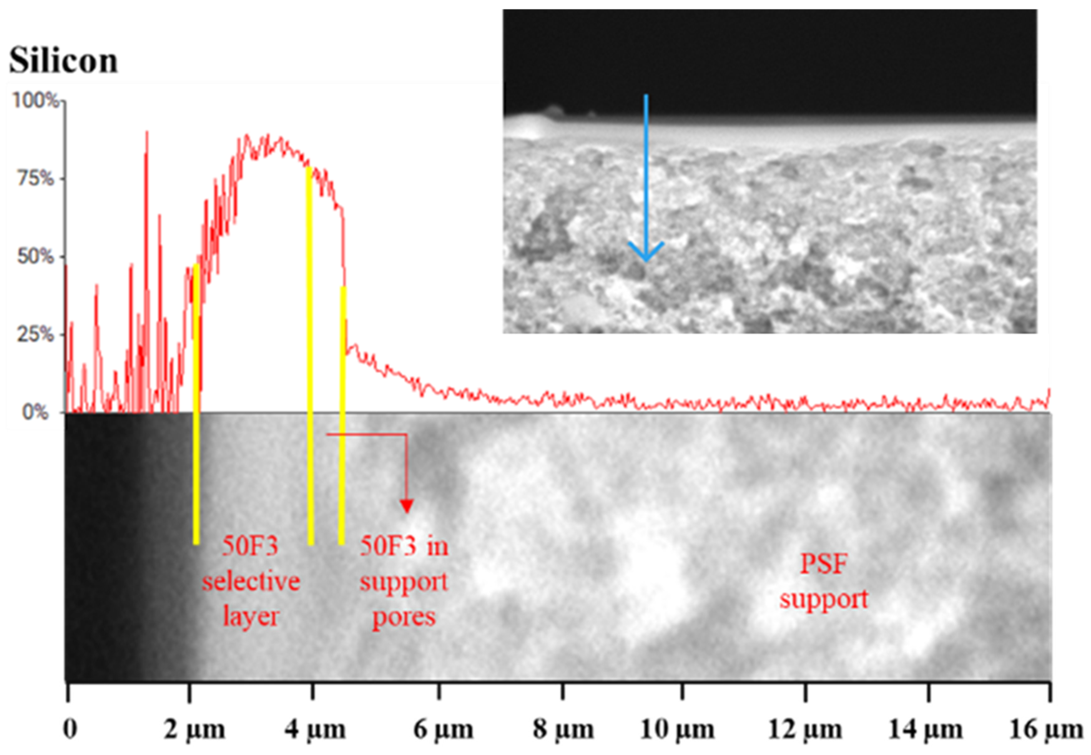 Polymers 16 03453 g010